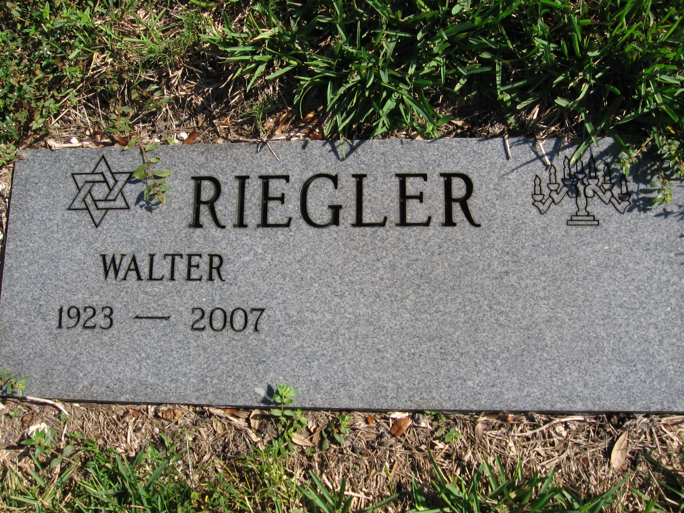 Walter Riegler