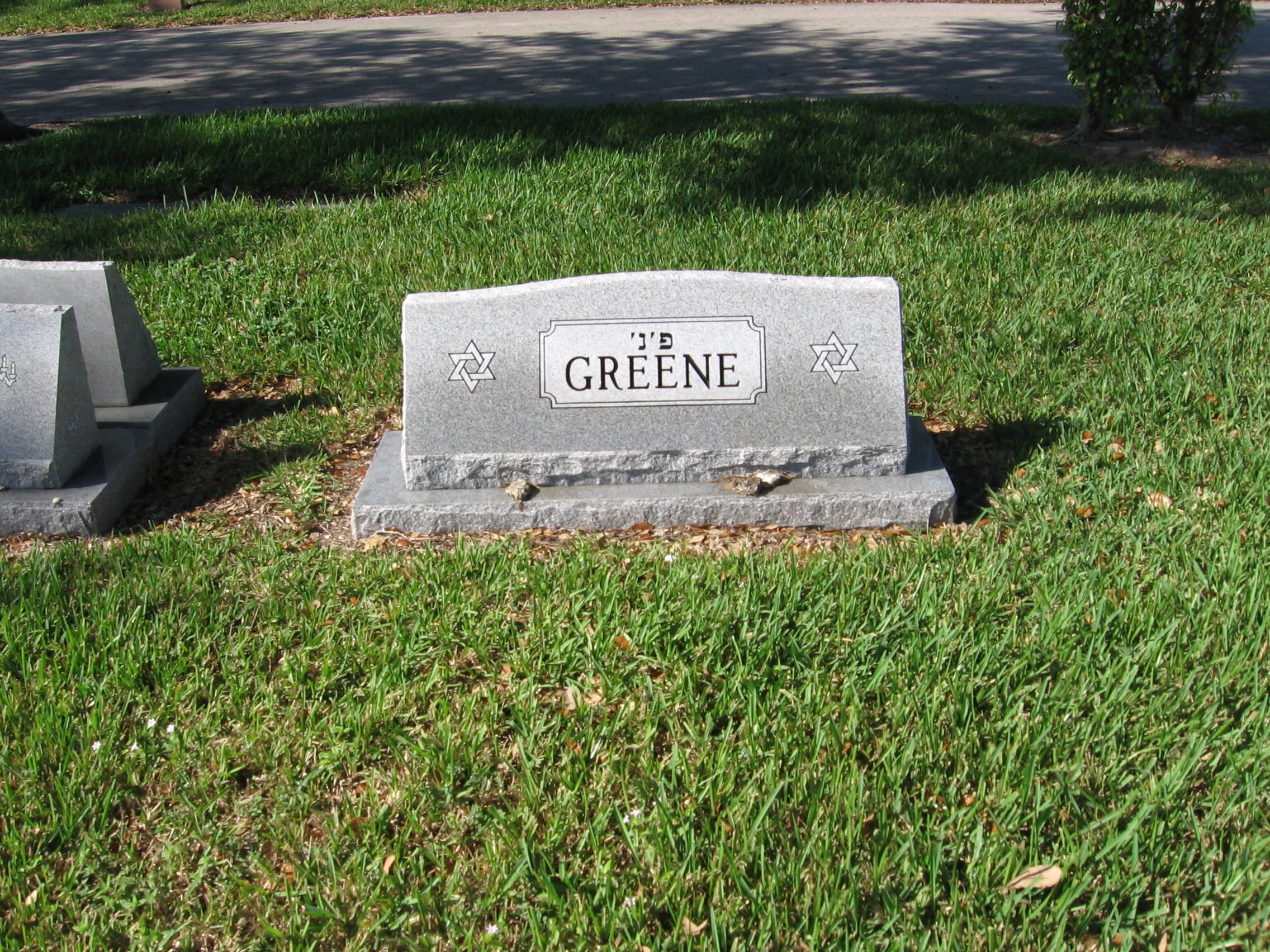 Gerald W Greene