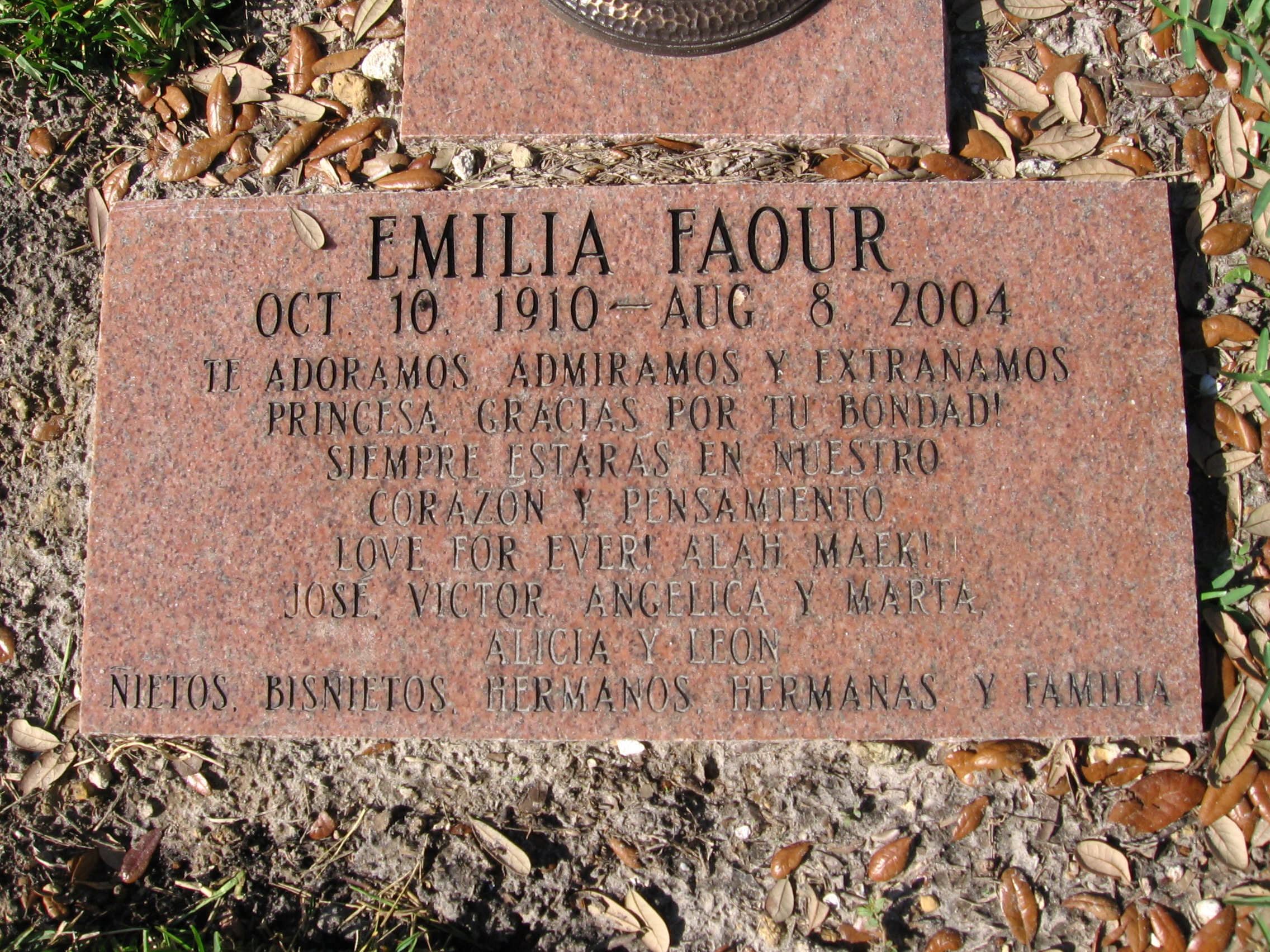 Emilia Faour