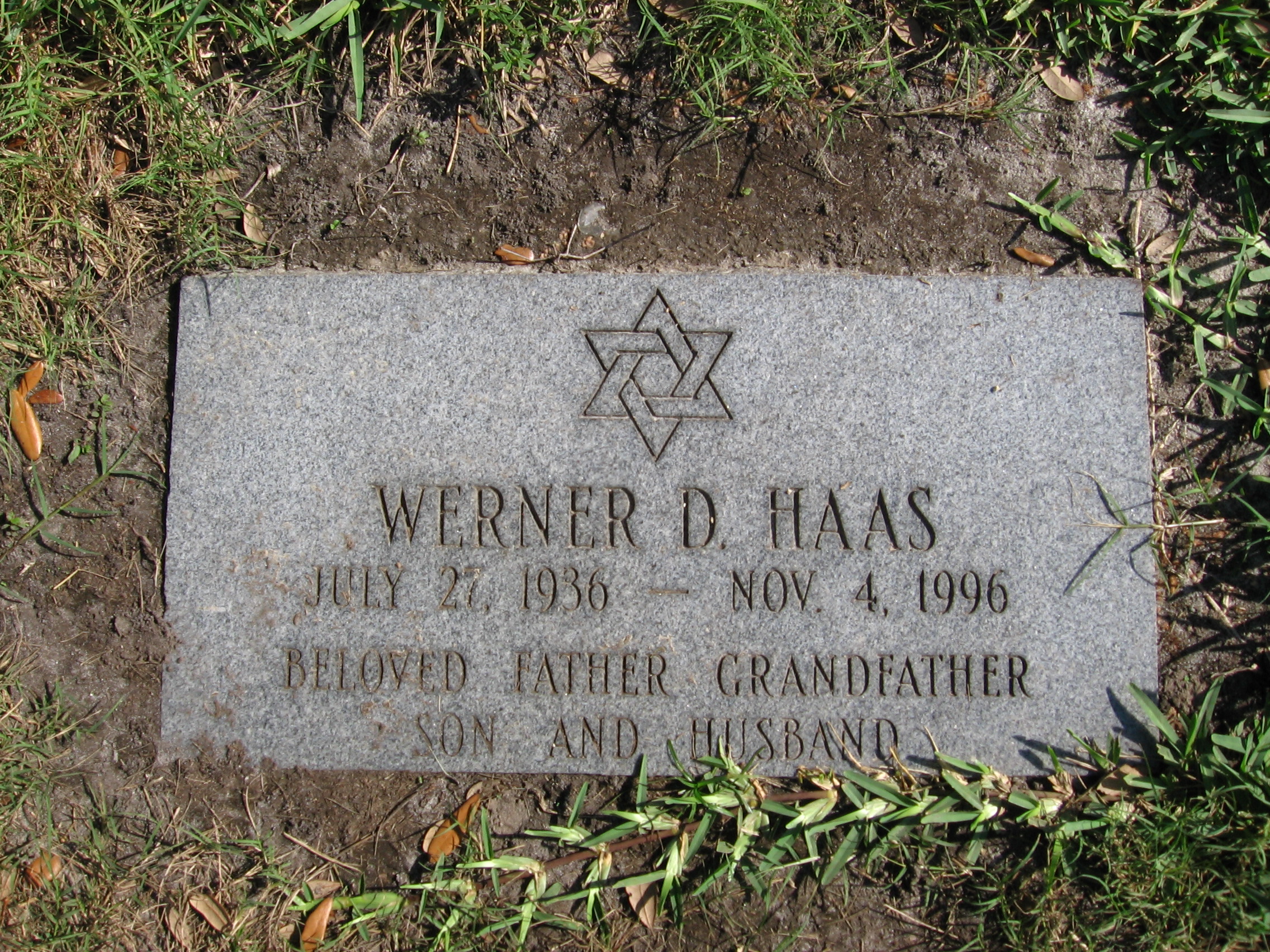 Werner D Haas