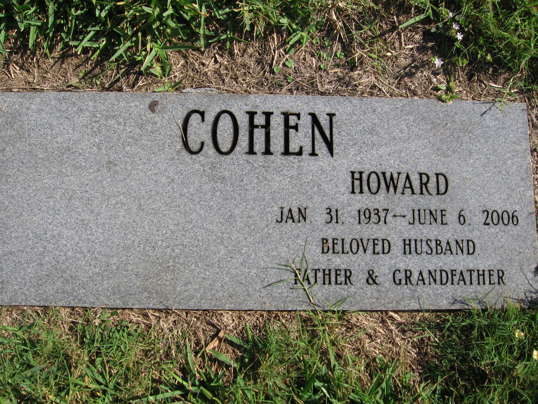 Howard Cohen