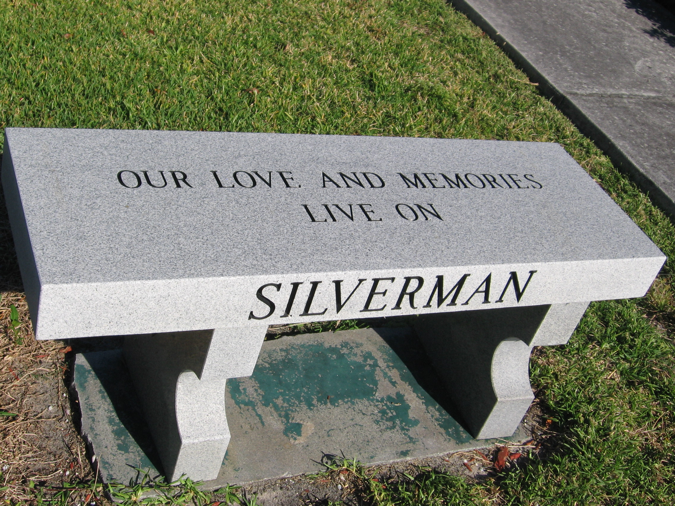 Lewis D Silverman