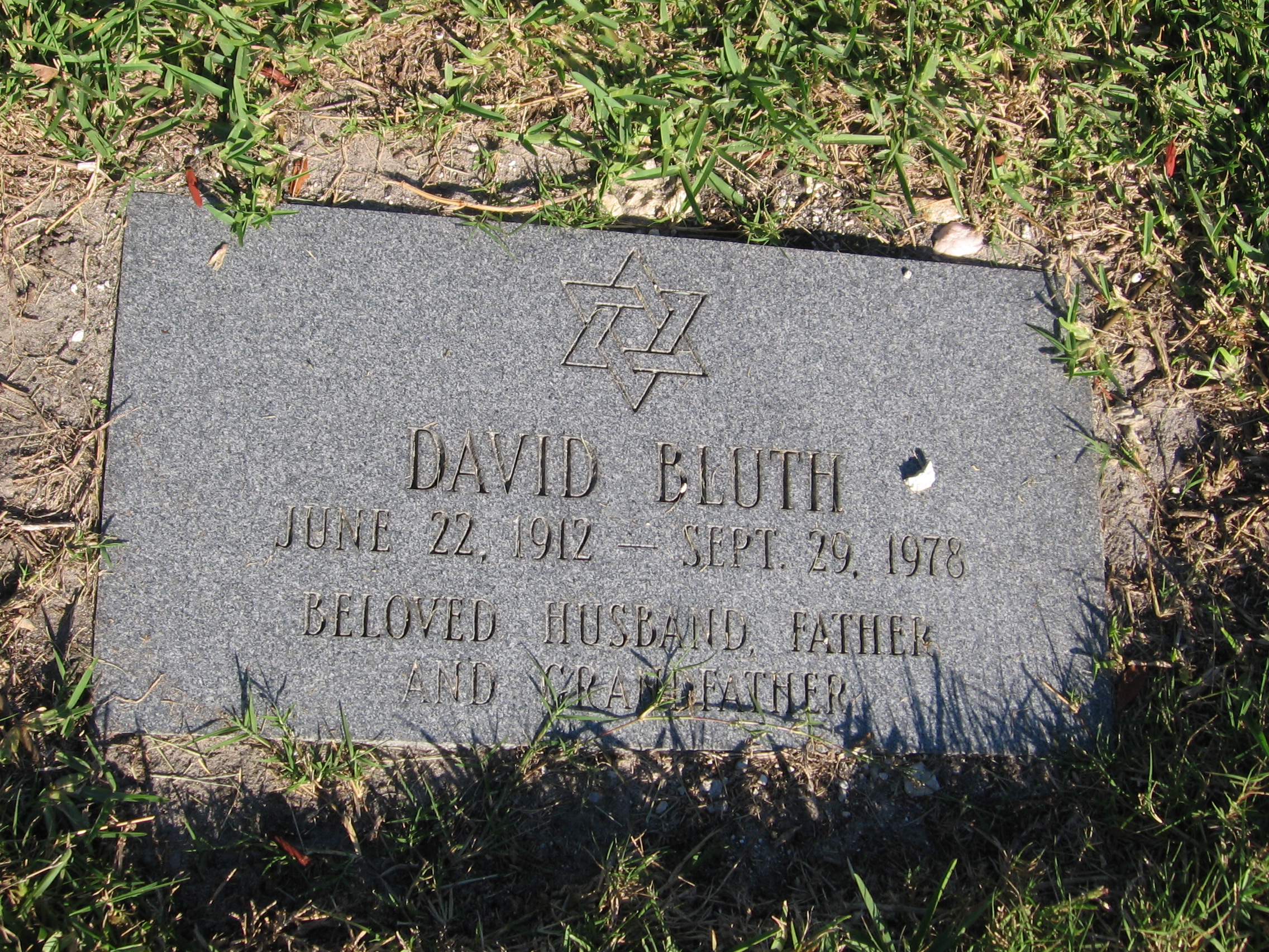 David Bluth