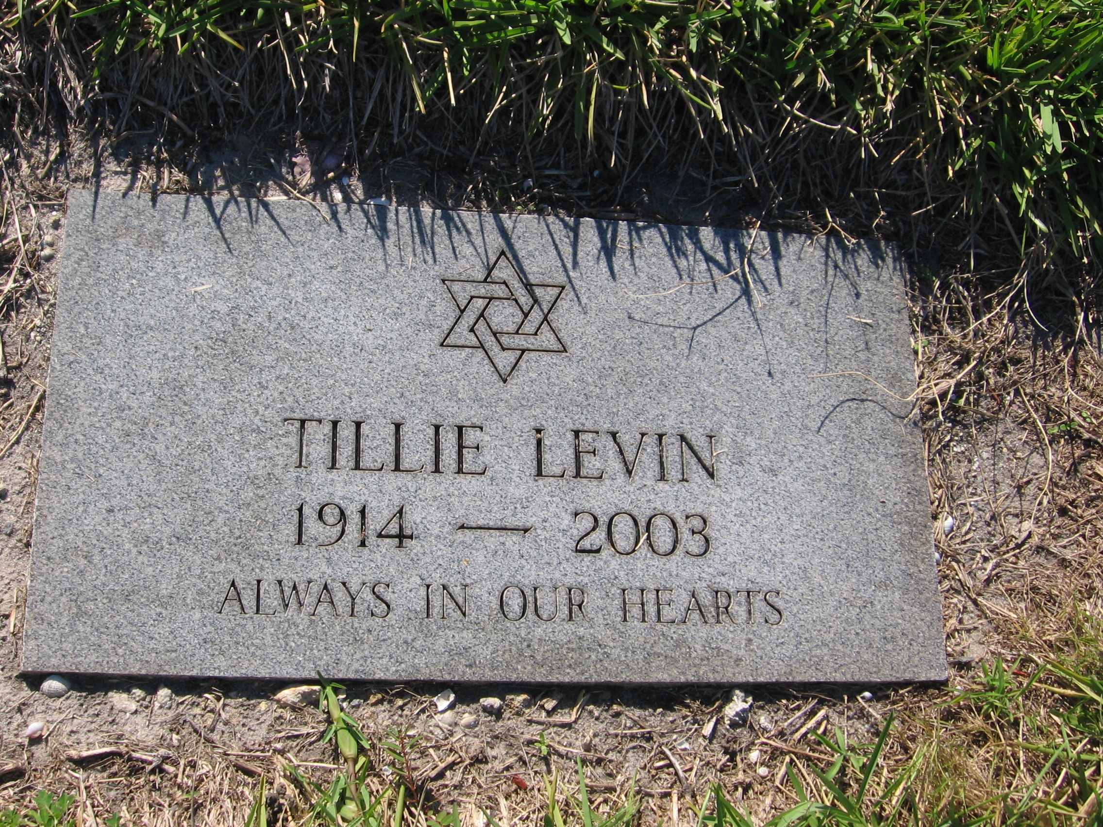 Tillie Levin