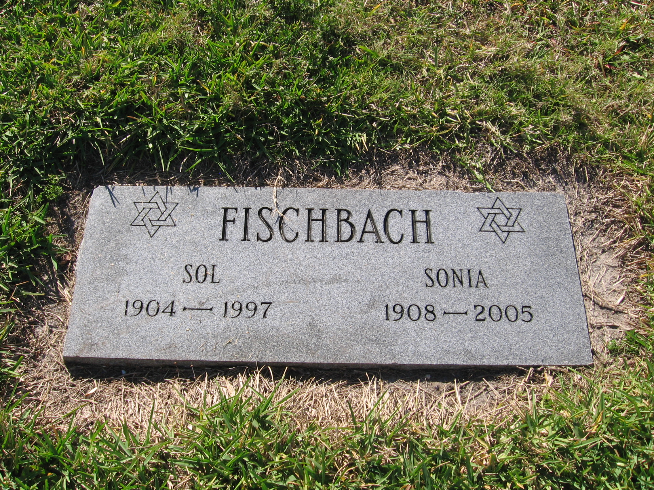 Sonia Fischbach