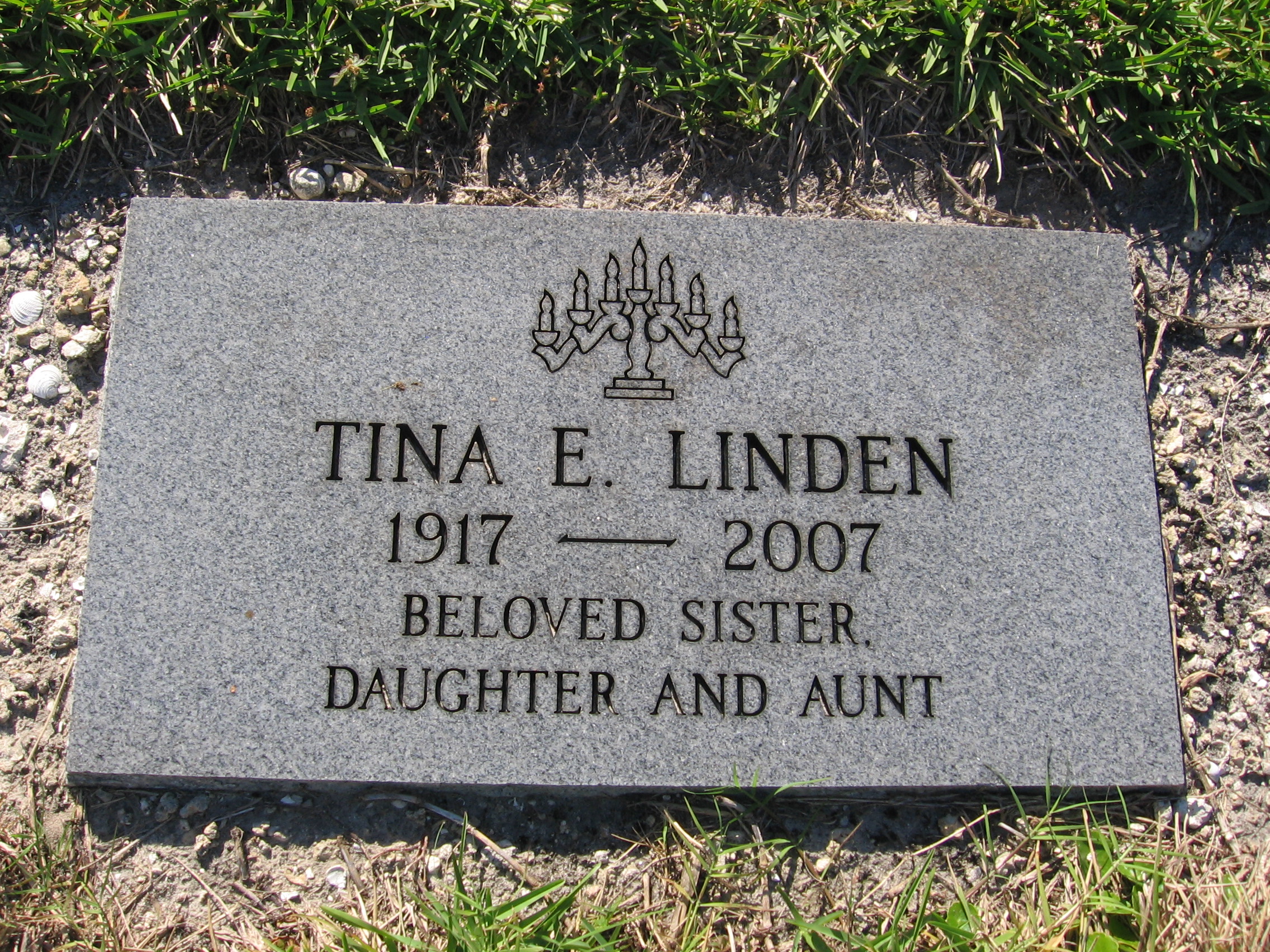 Tina E Linden