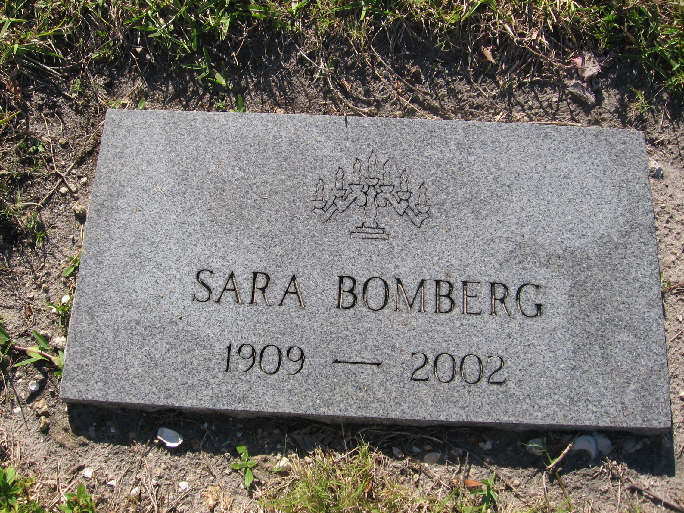 Sara Bomberg