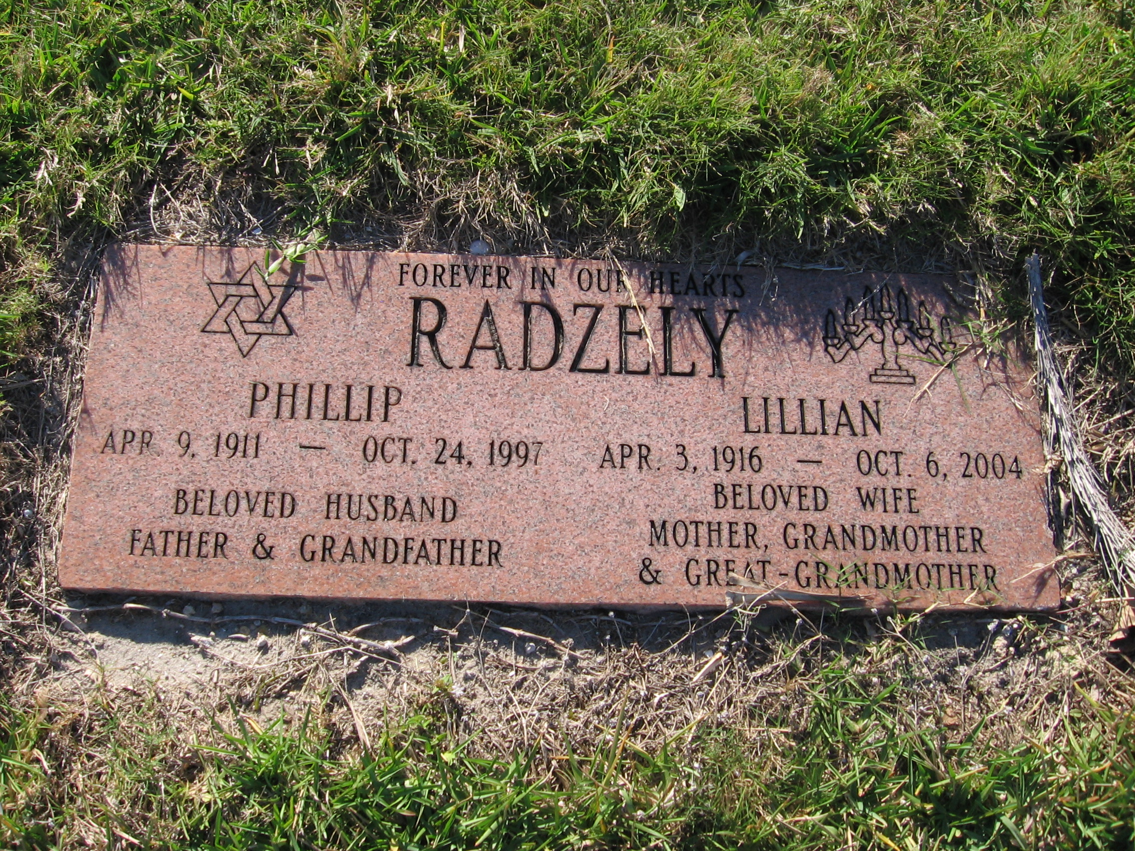 Phillip Radzely