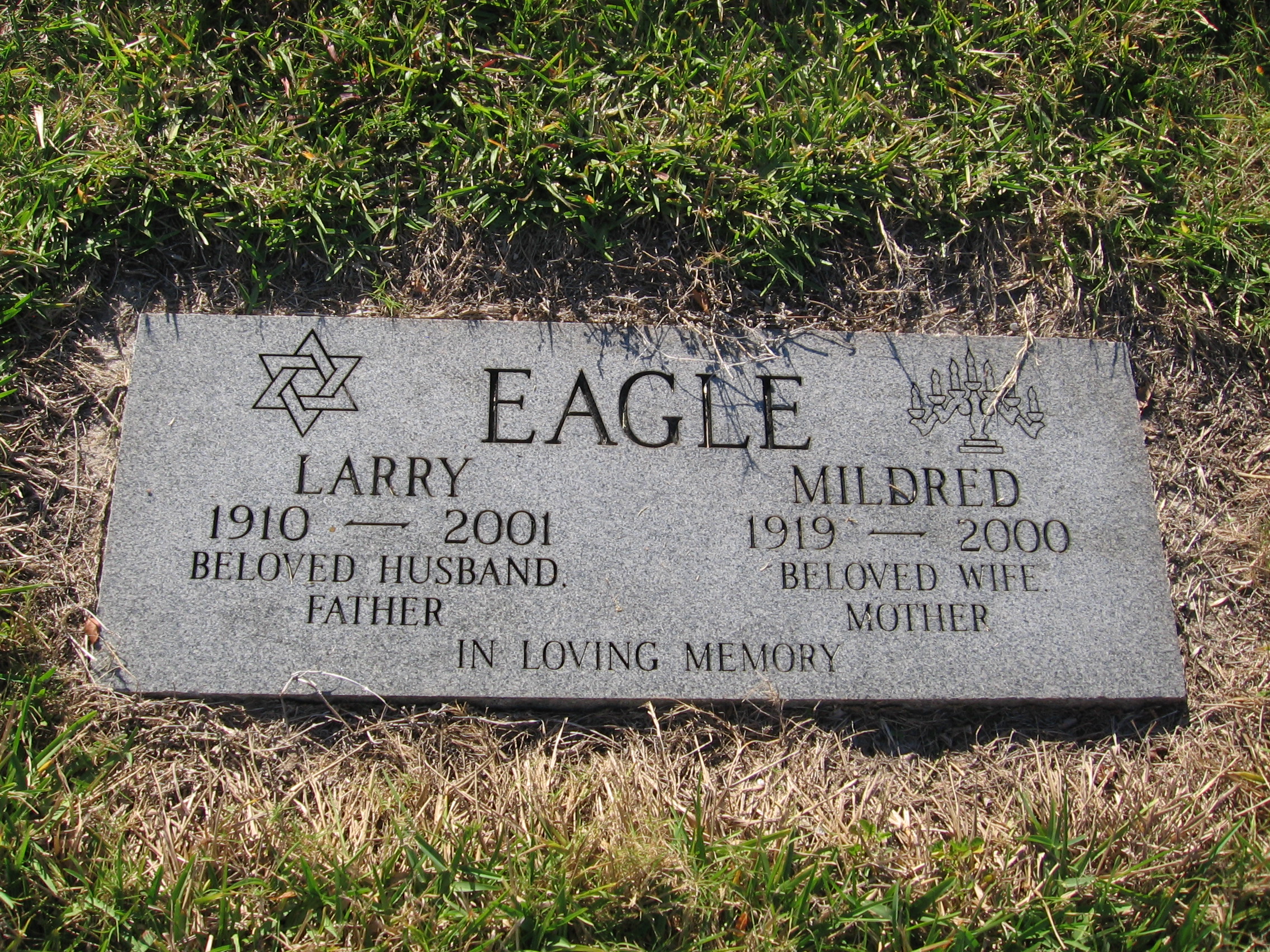 Larry Eagle