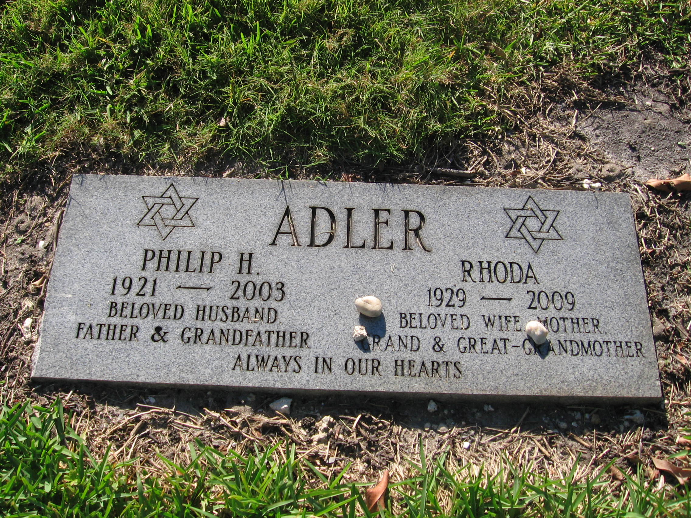 Philip H Adler