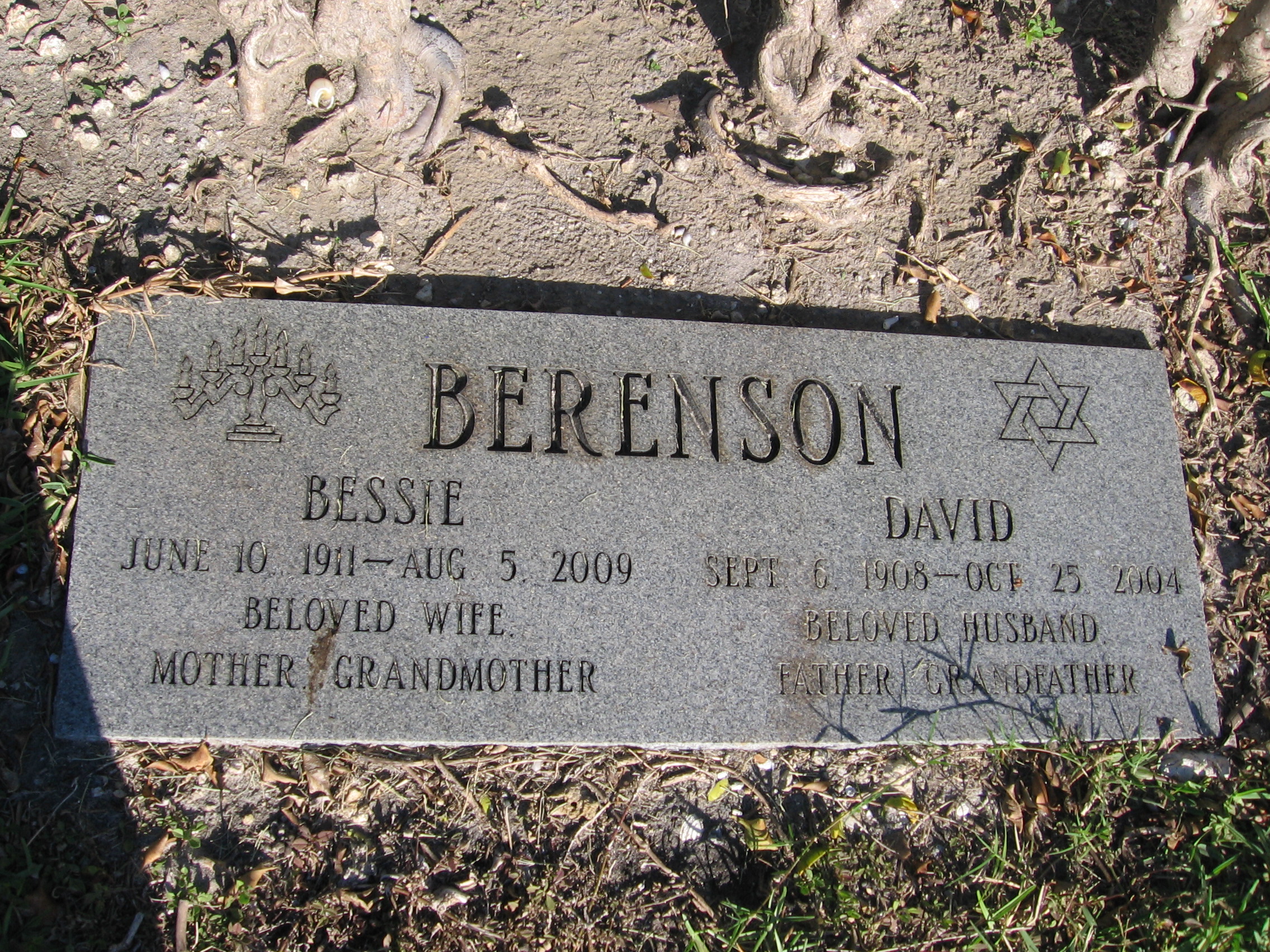 David Berenson