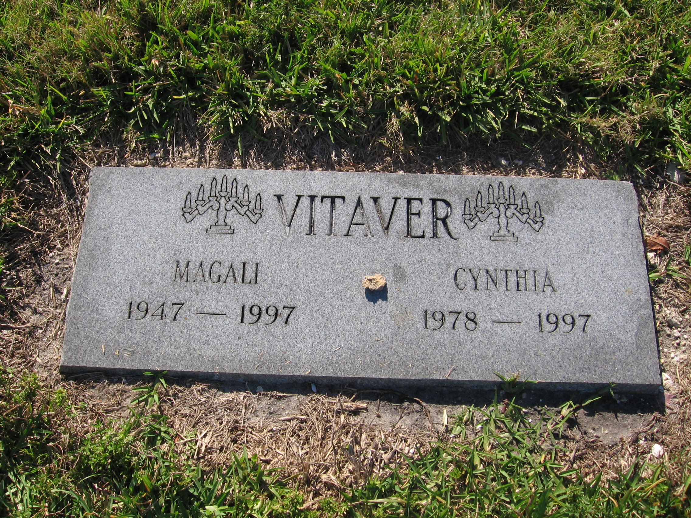 Cynthia Vitaver