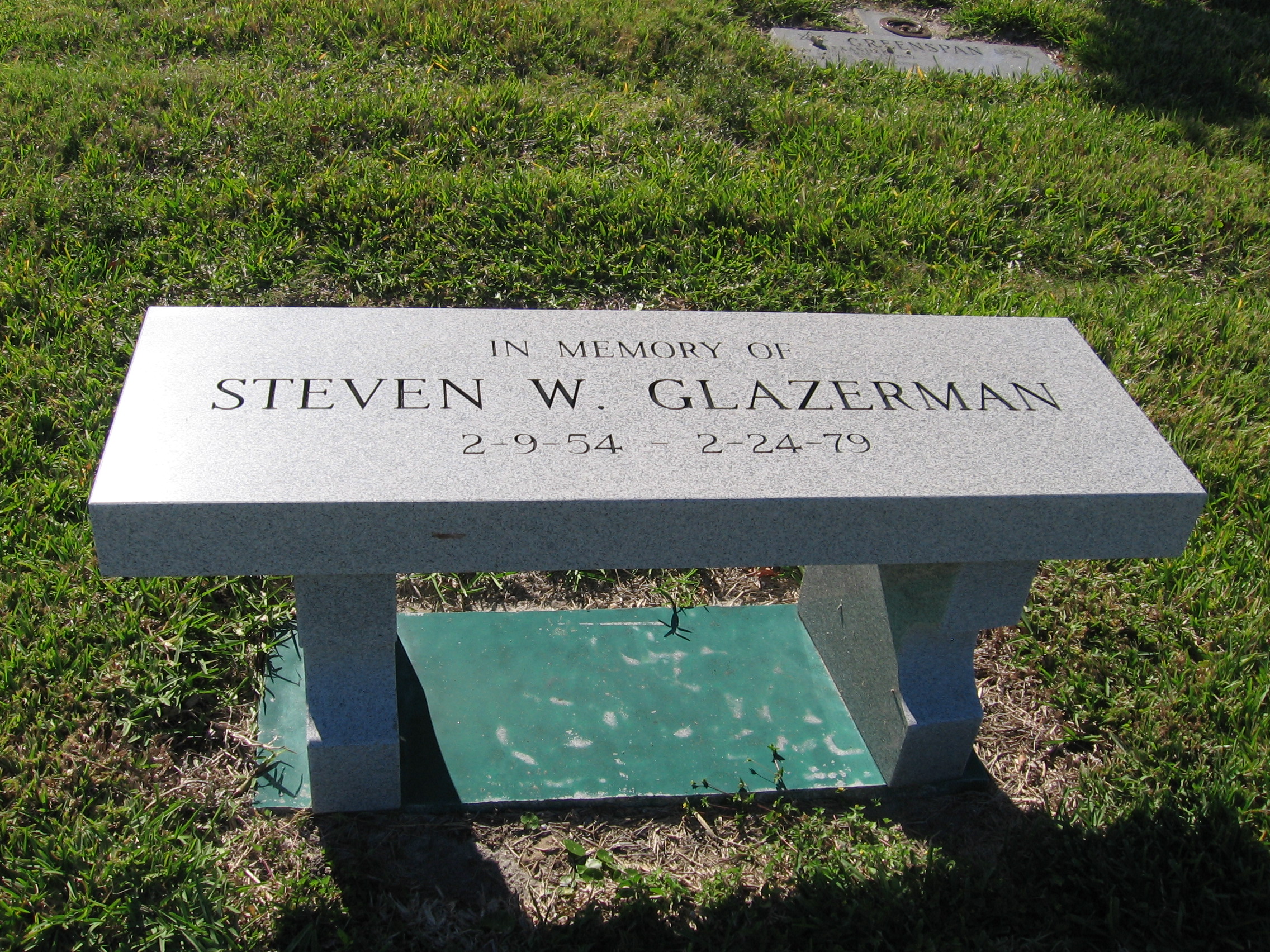 Steven W Glazerman