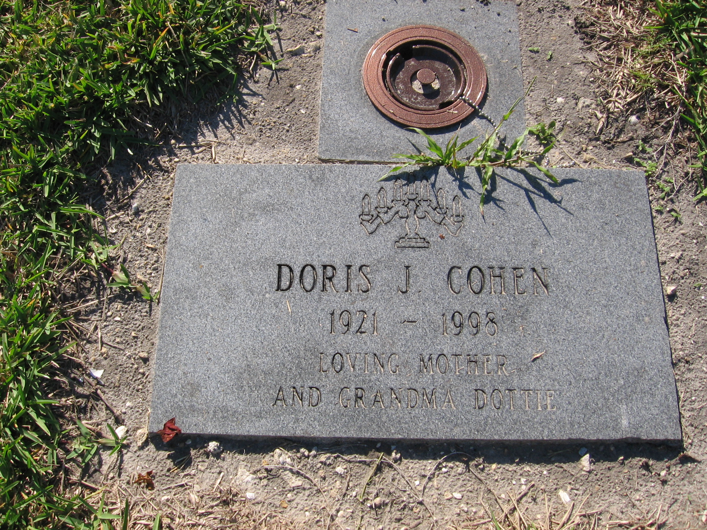 Doris J Cohen