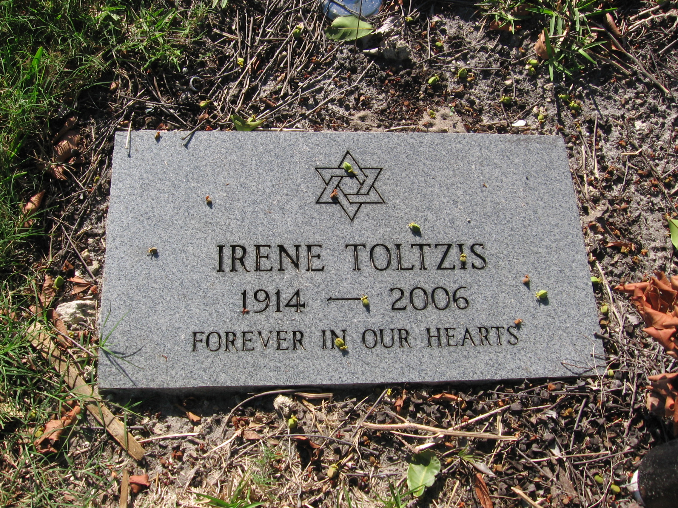 Irene Toltzis