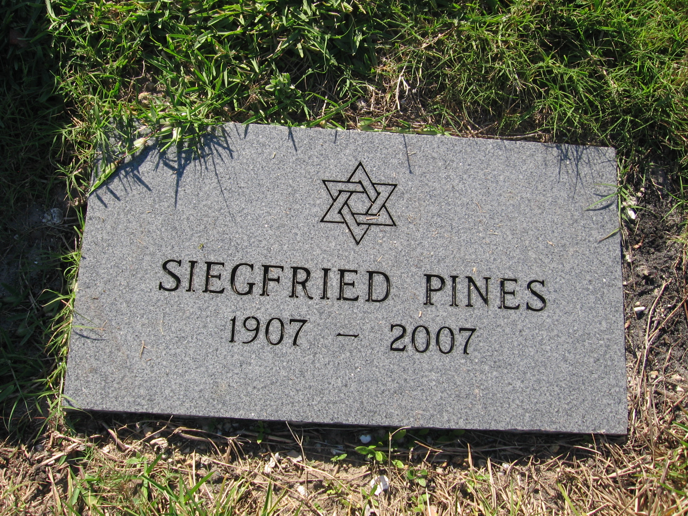 Siegfried Pines