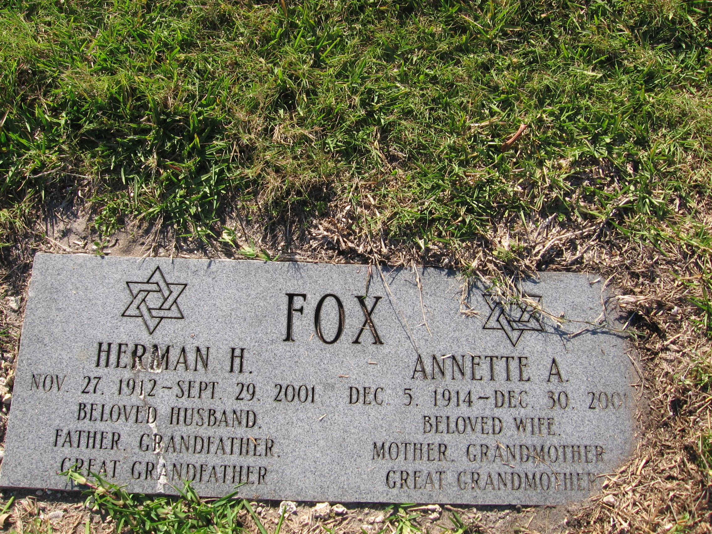Annette A Fox