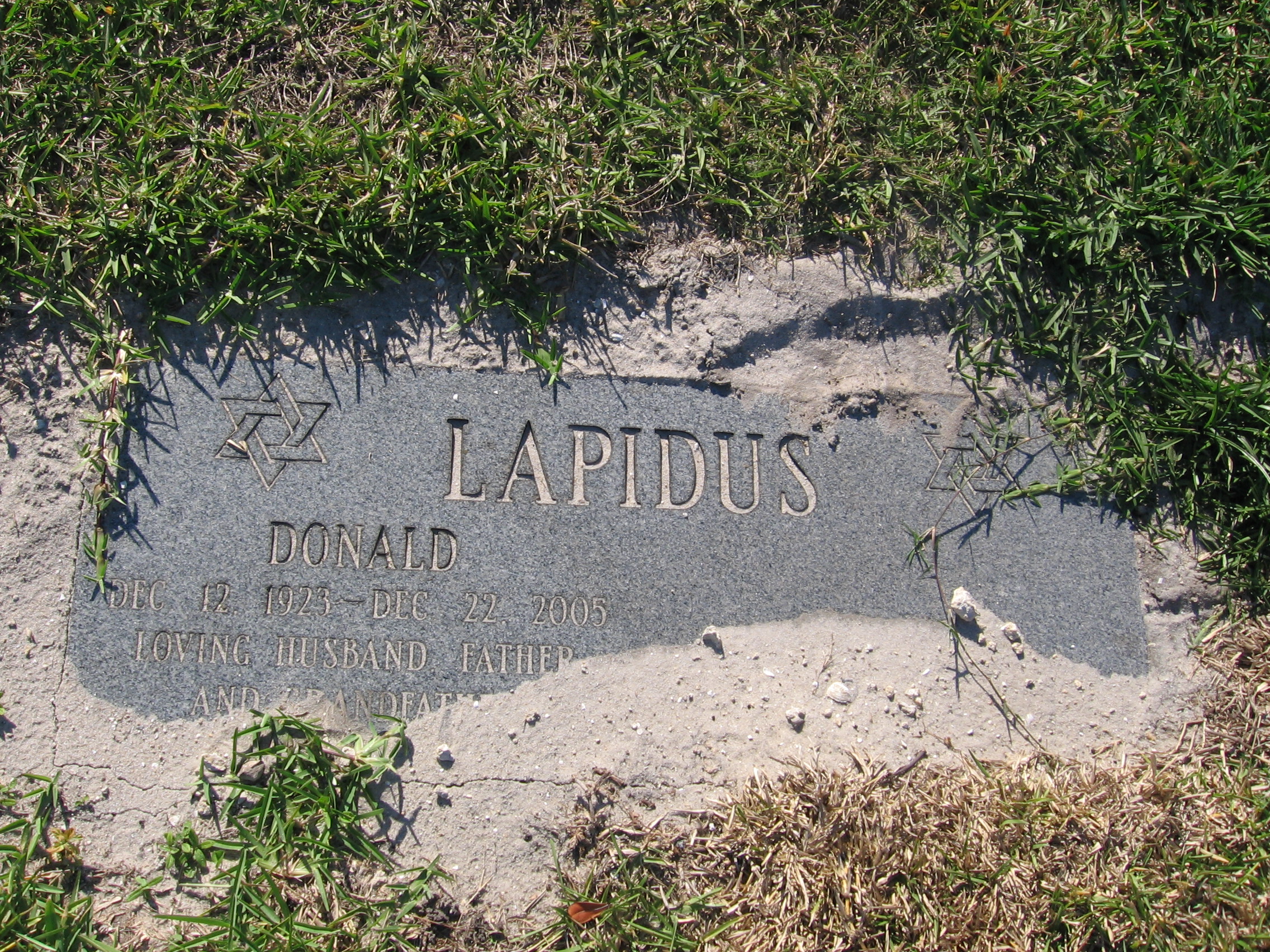 Donald Lapidus