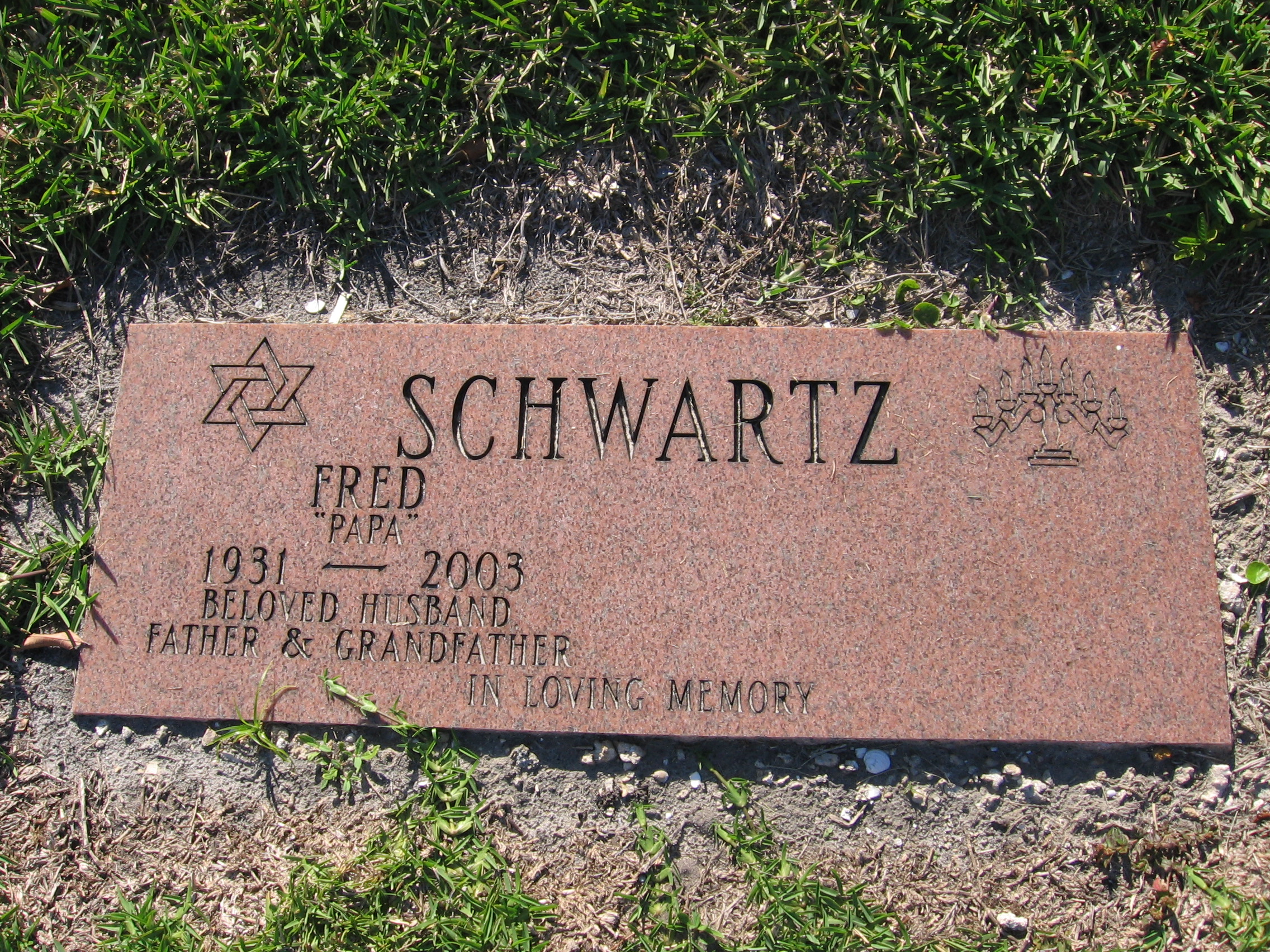 Fred Schwartz