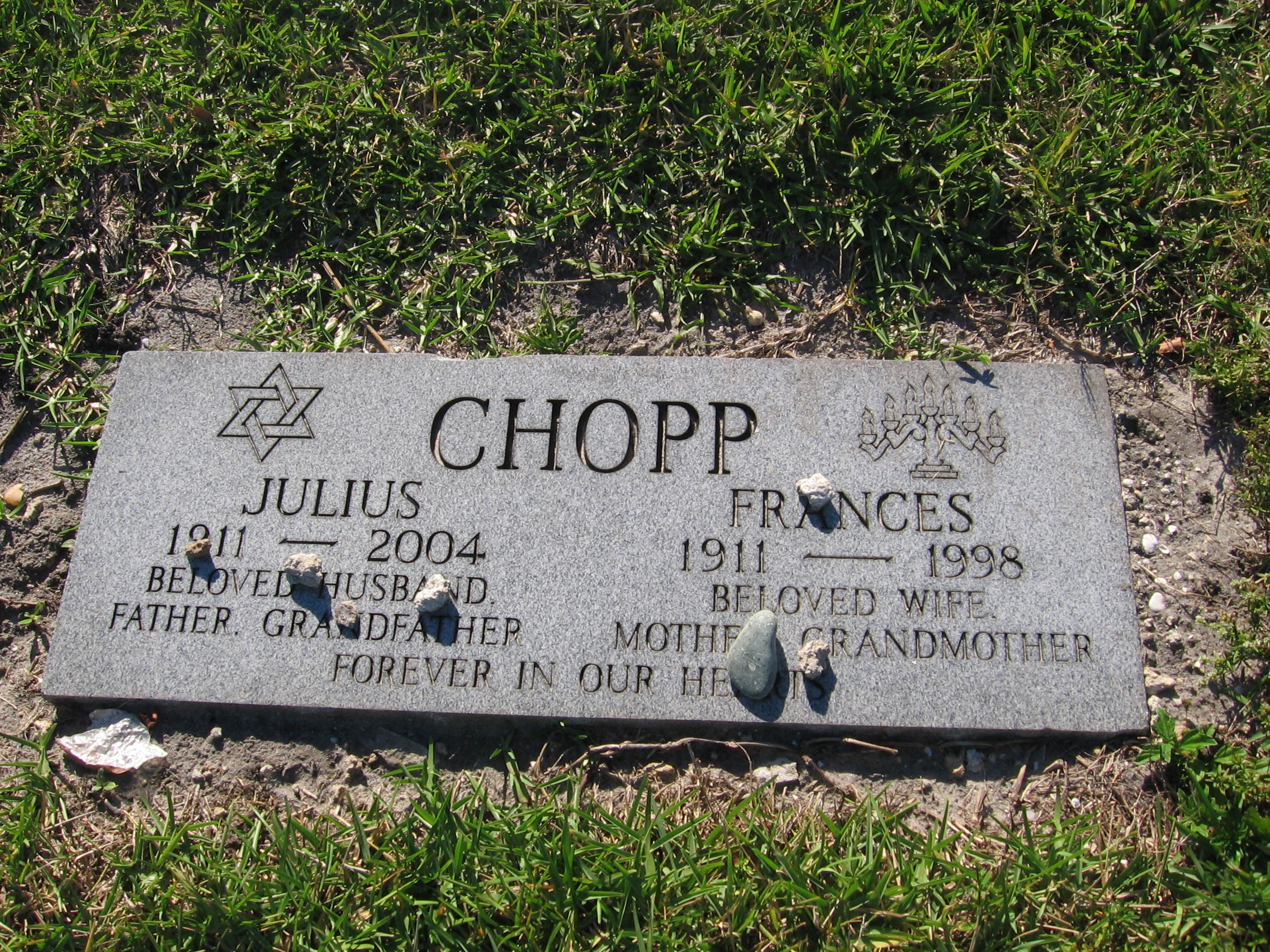 Julius Chopp