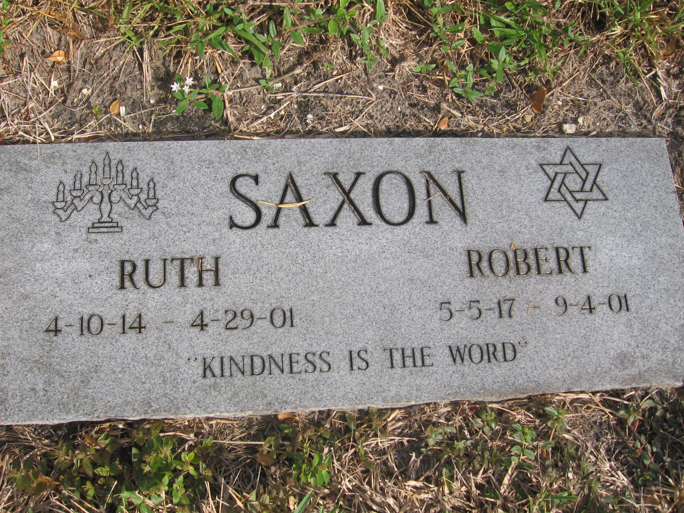 Robert Saxon