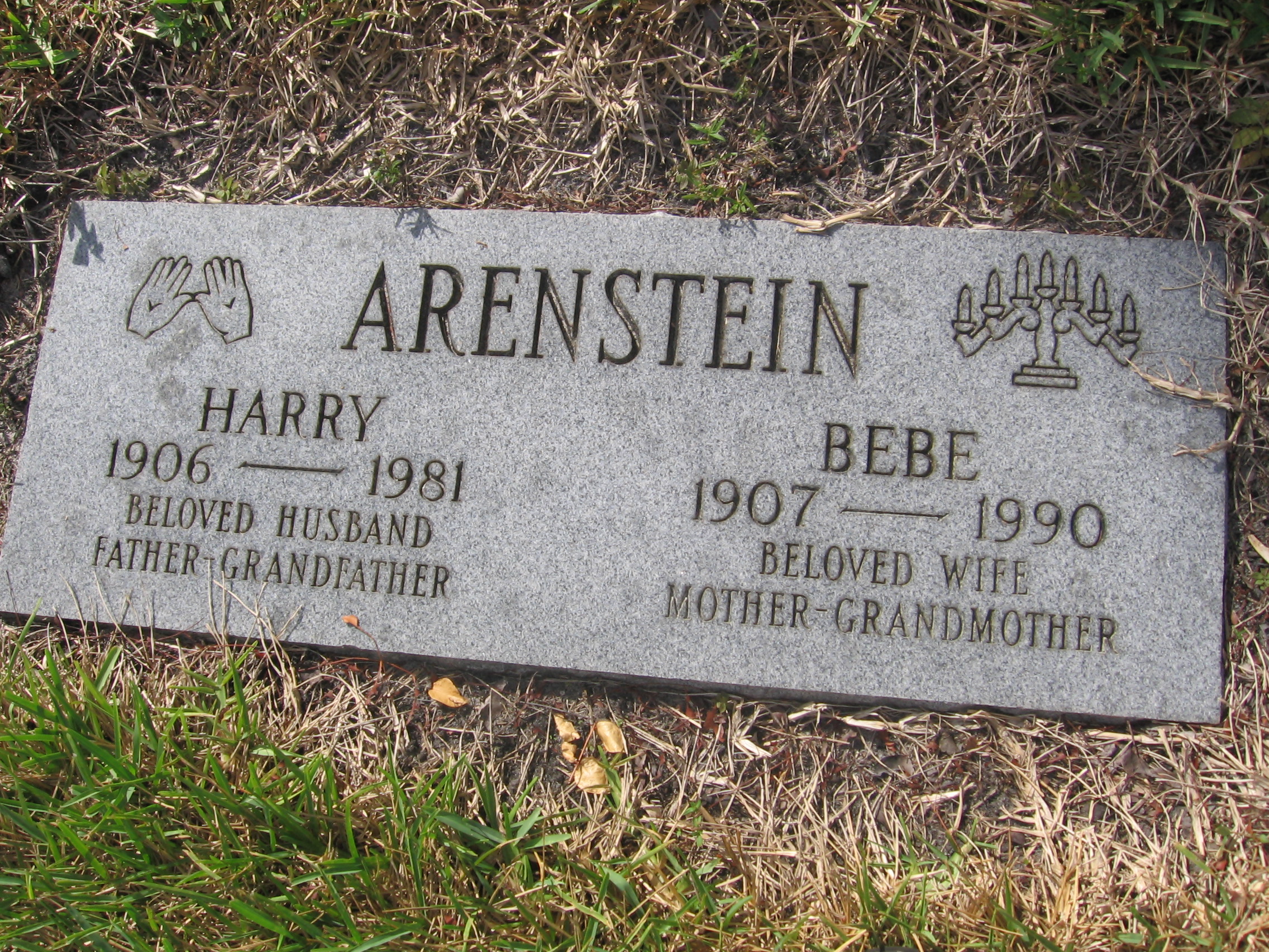 Harry Arenstein