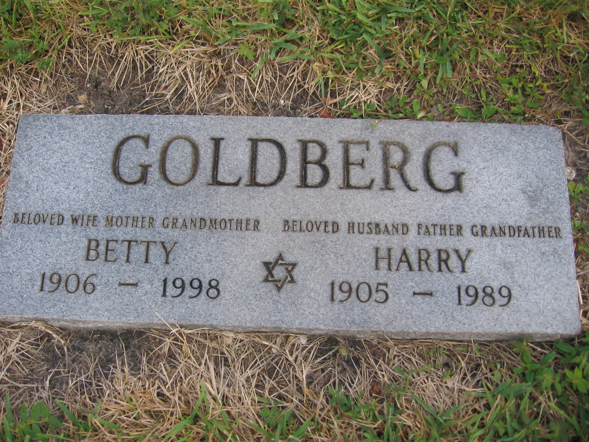 Harry Goldberg