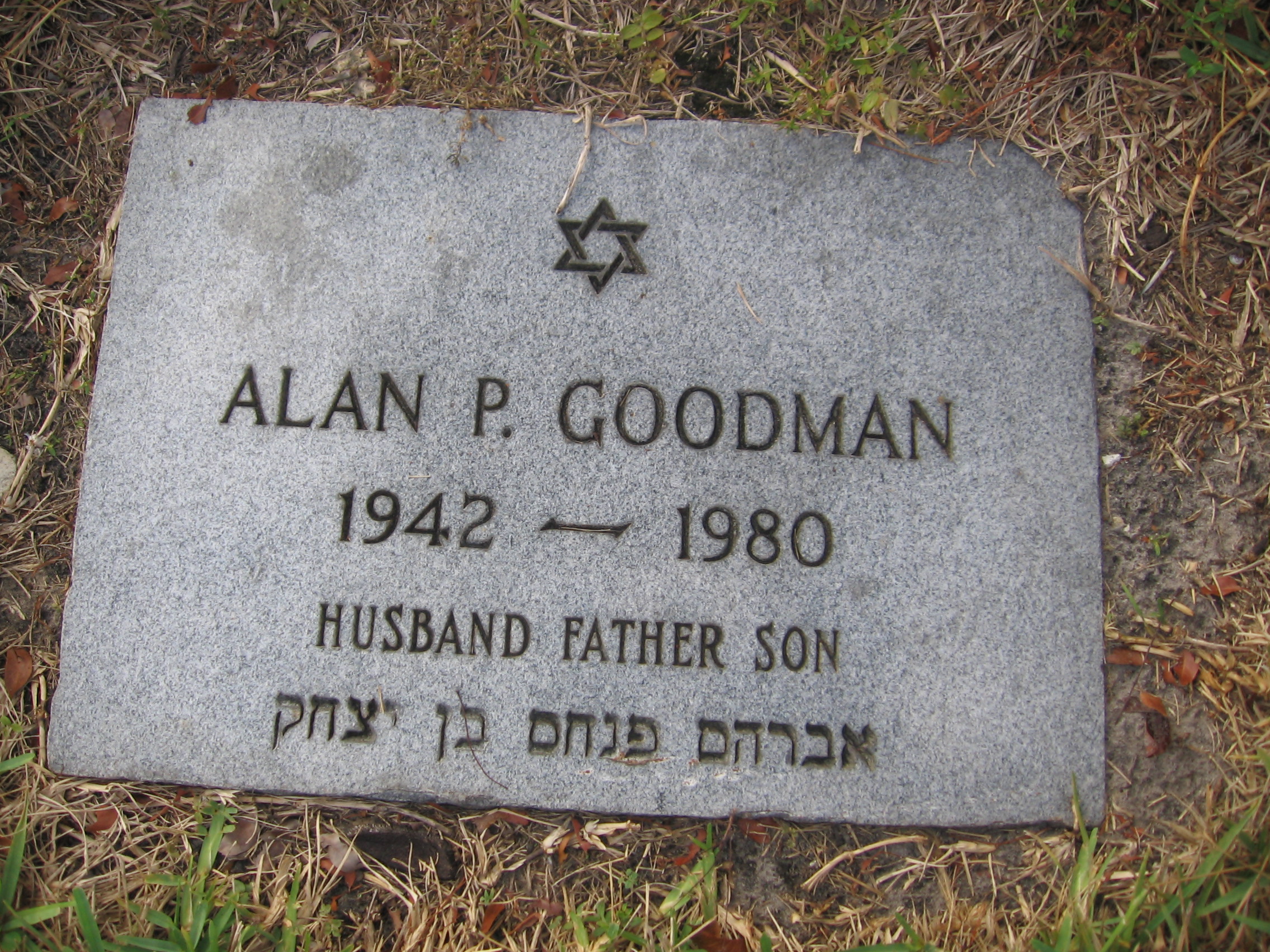 Alan P Goodman