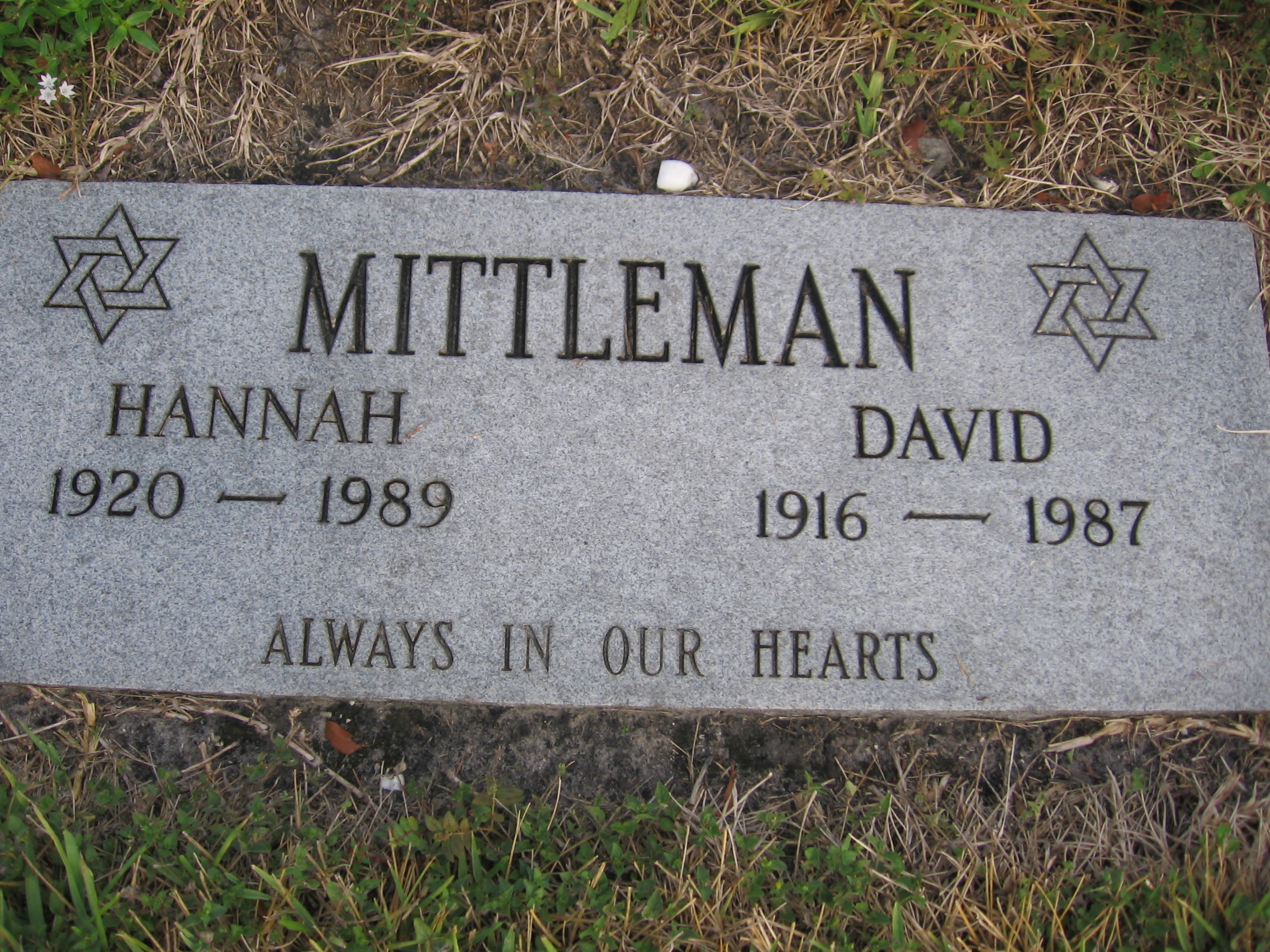 David Mittleman