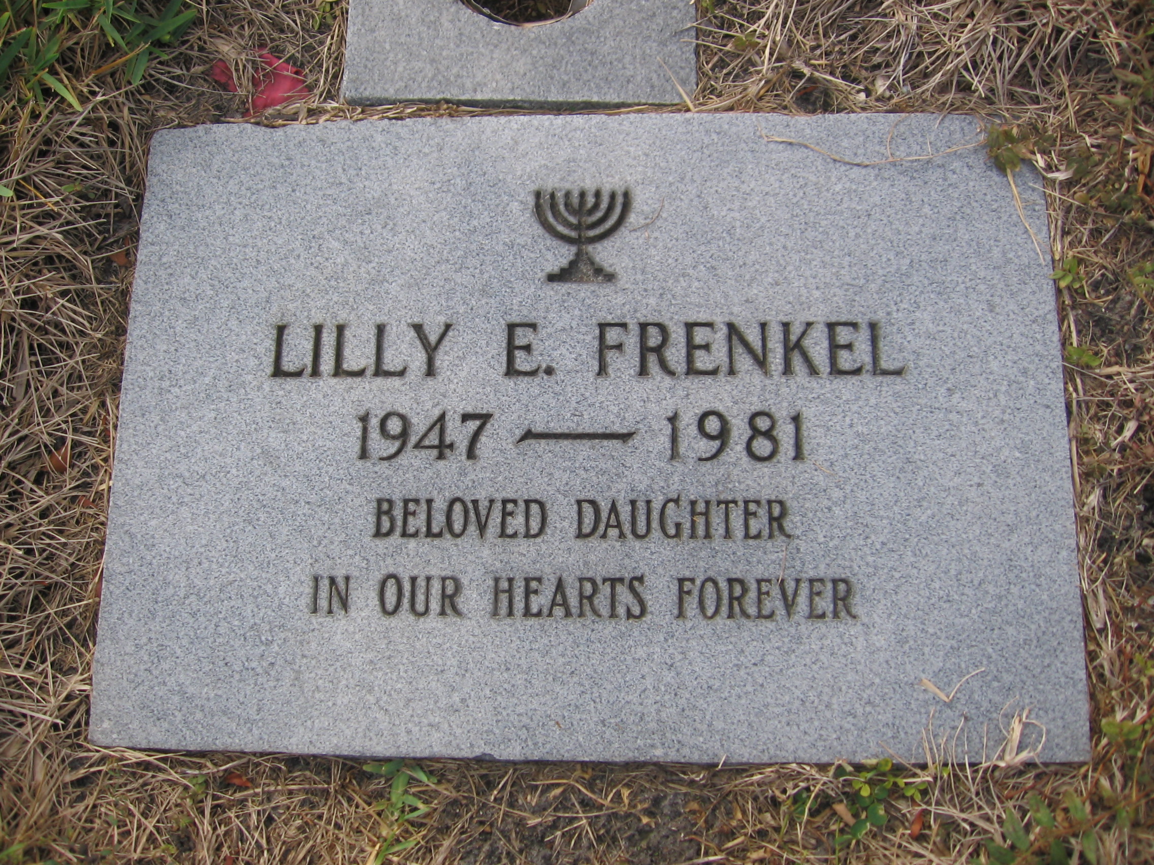 Lilly E Frenkel