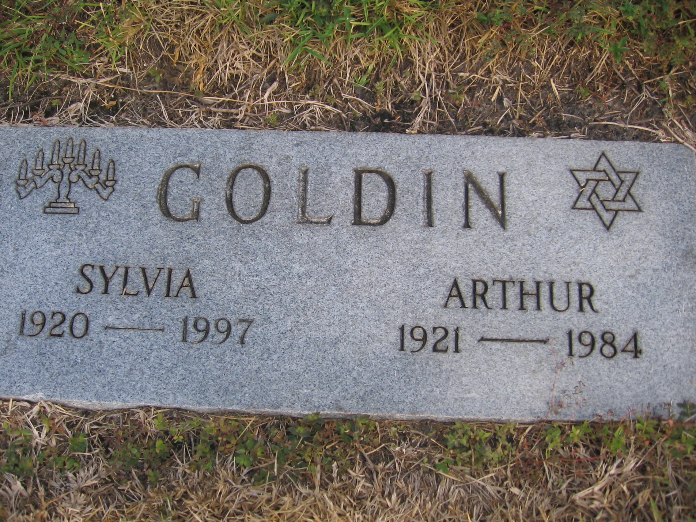 Arthur Goldin