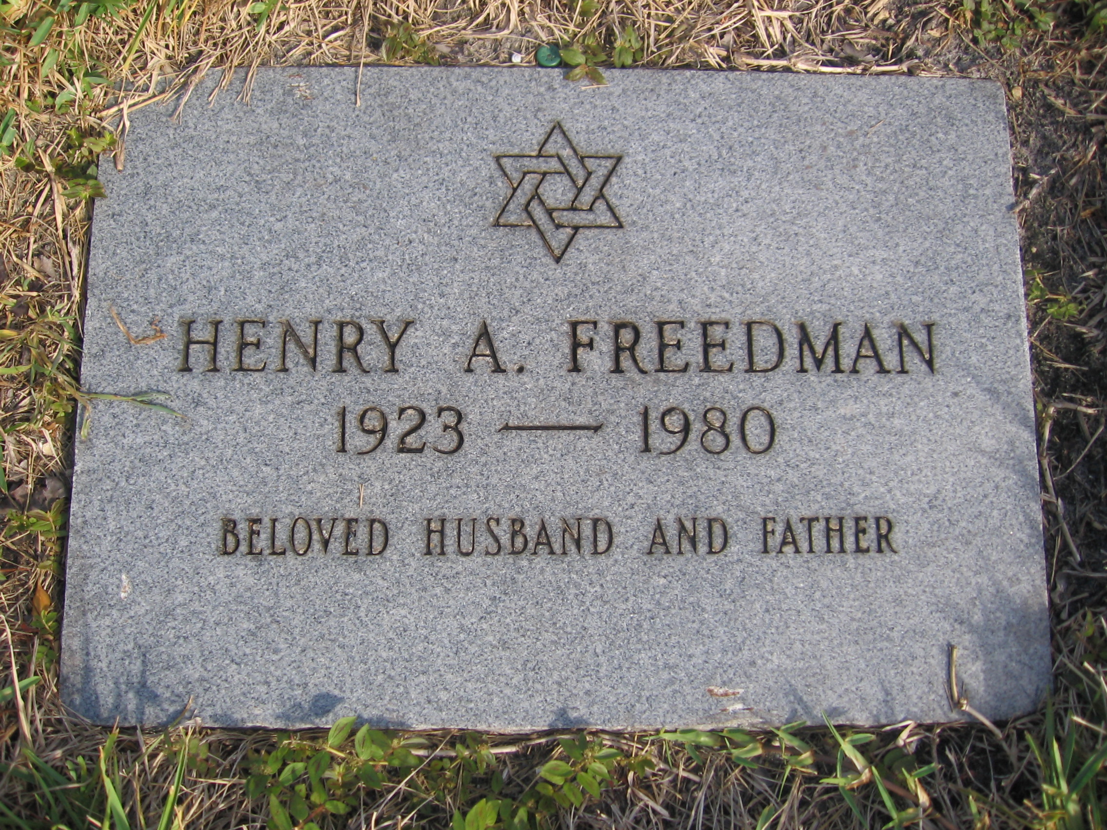 Henry A Freedman