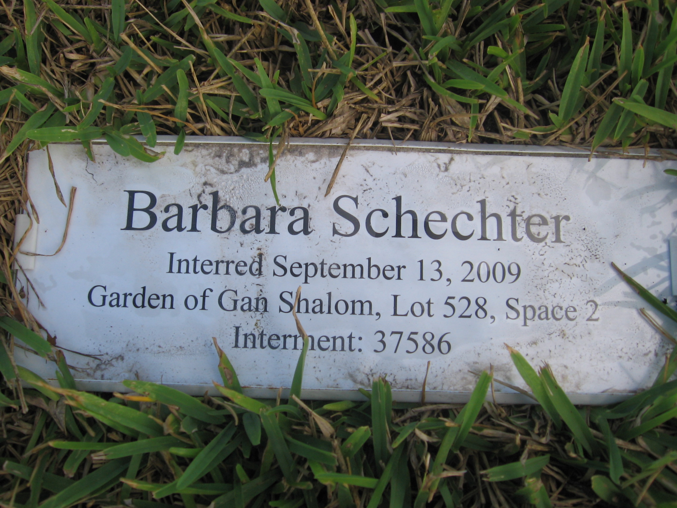 Barbara Schechter
