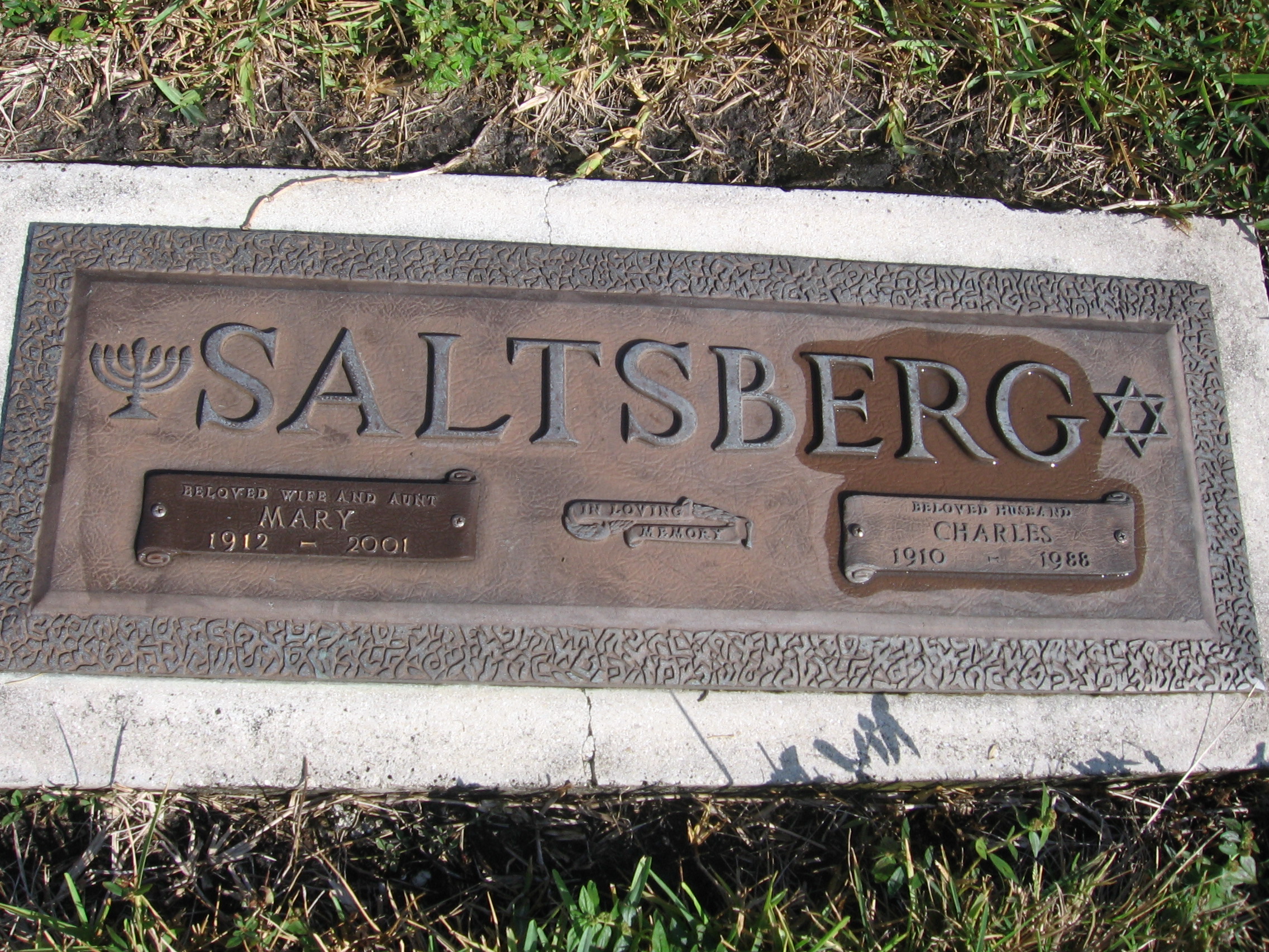 Charles Saltsberg