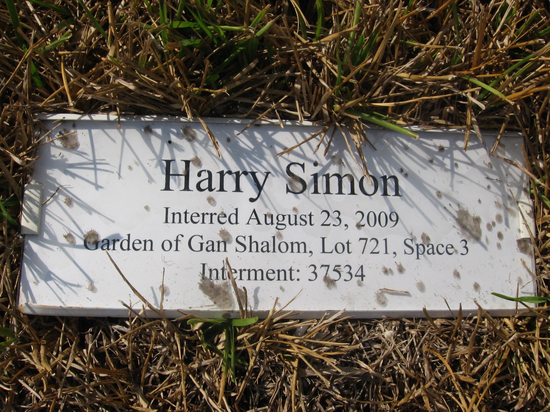 Harry Simon