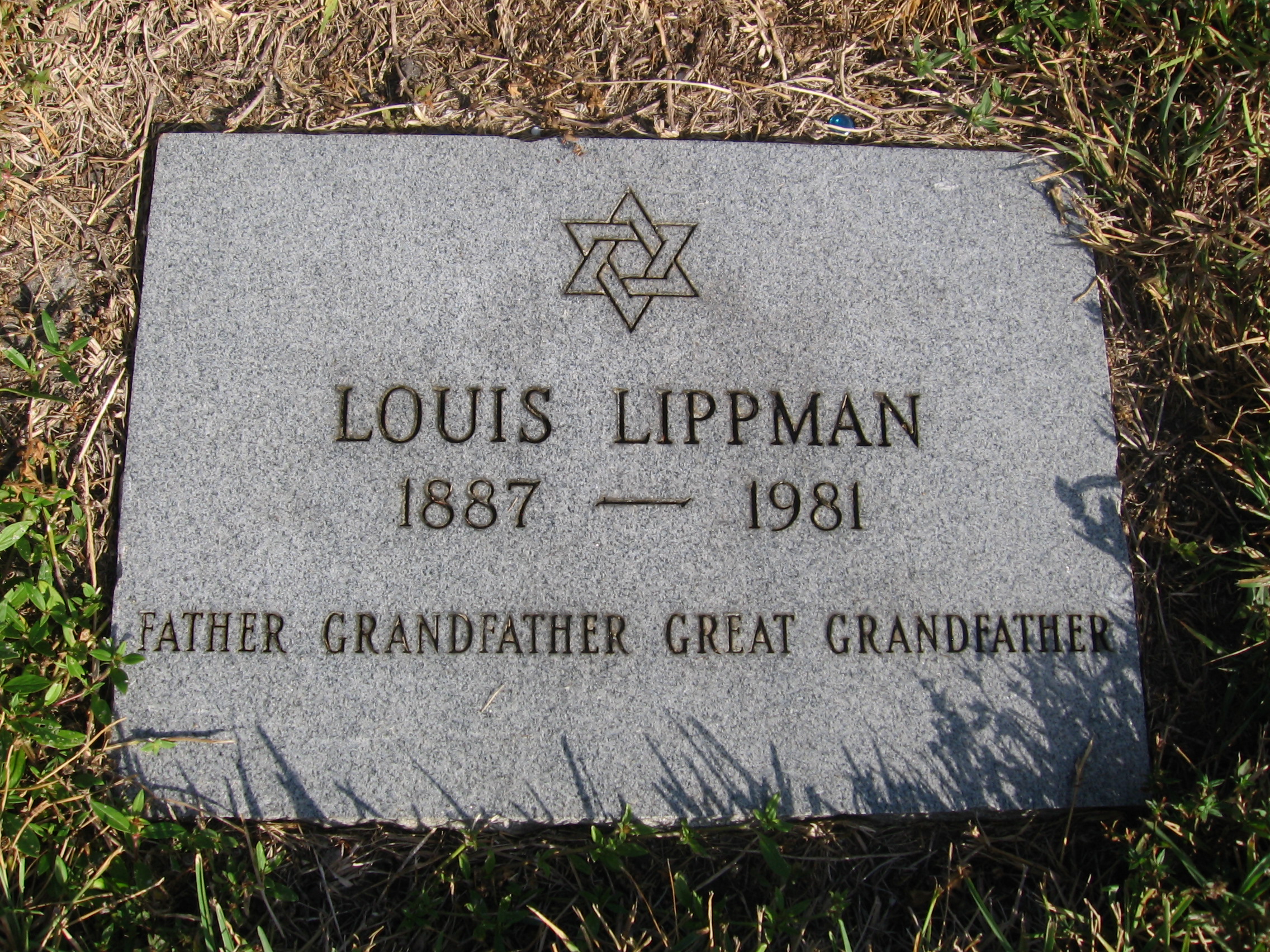 Louis Lippman