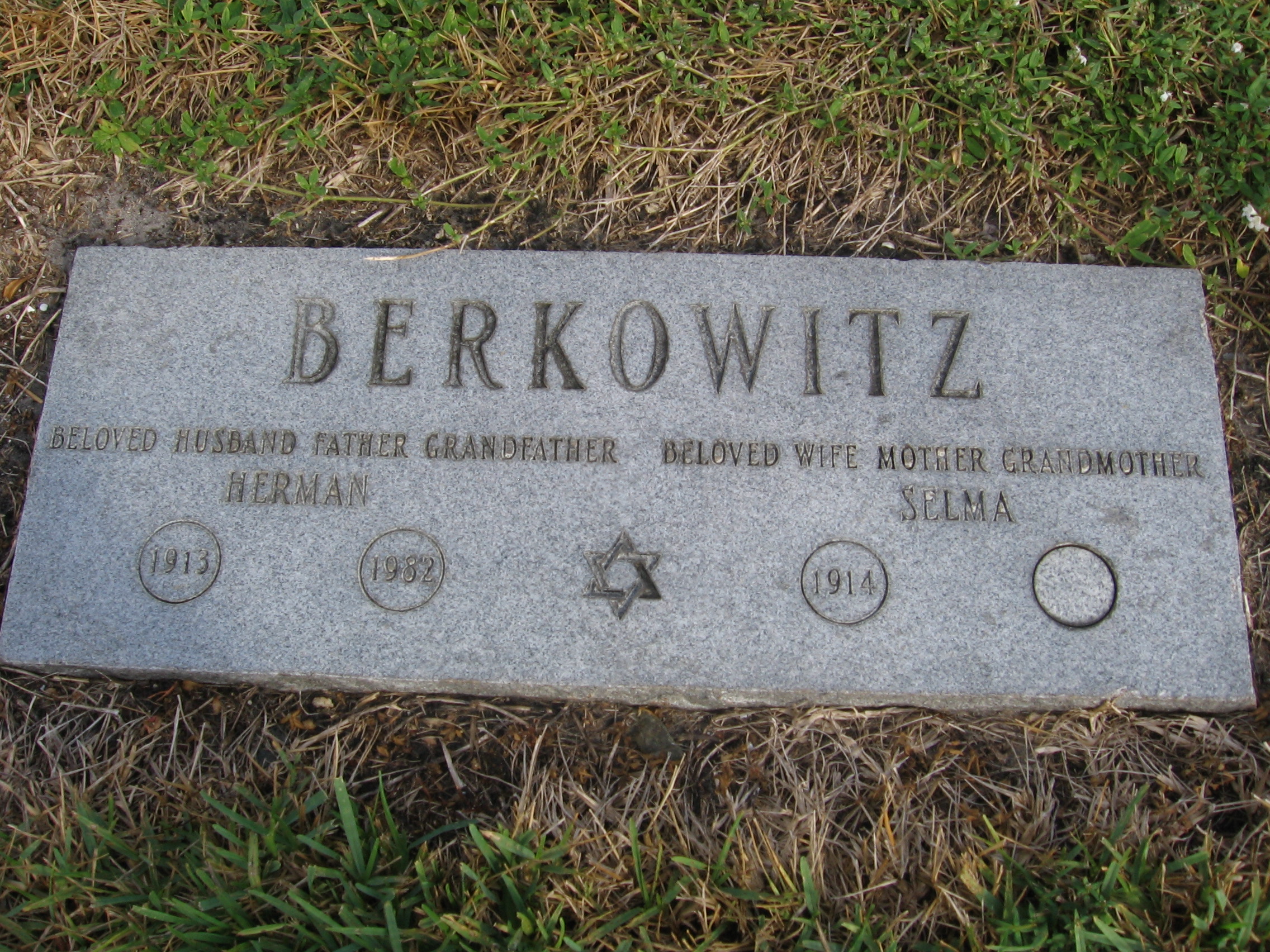Herman Berkowitz