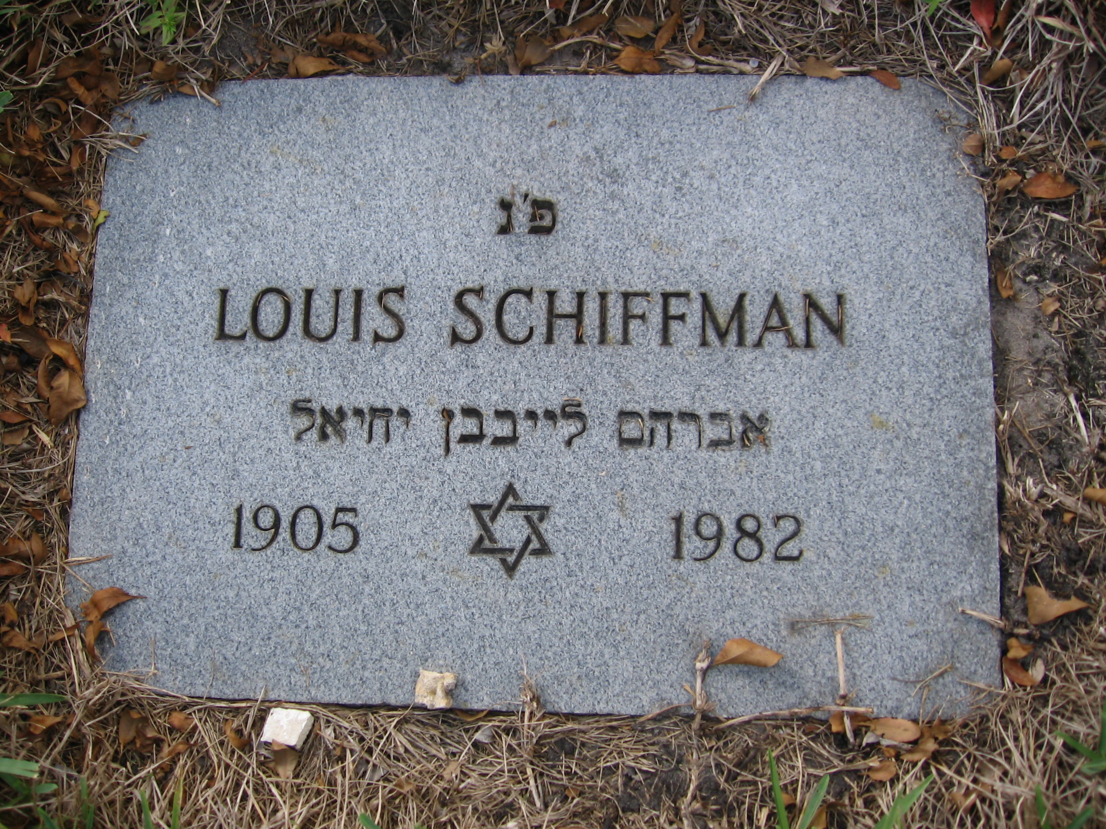 Louis Schiffman