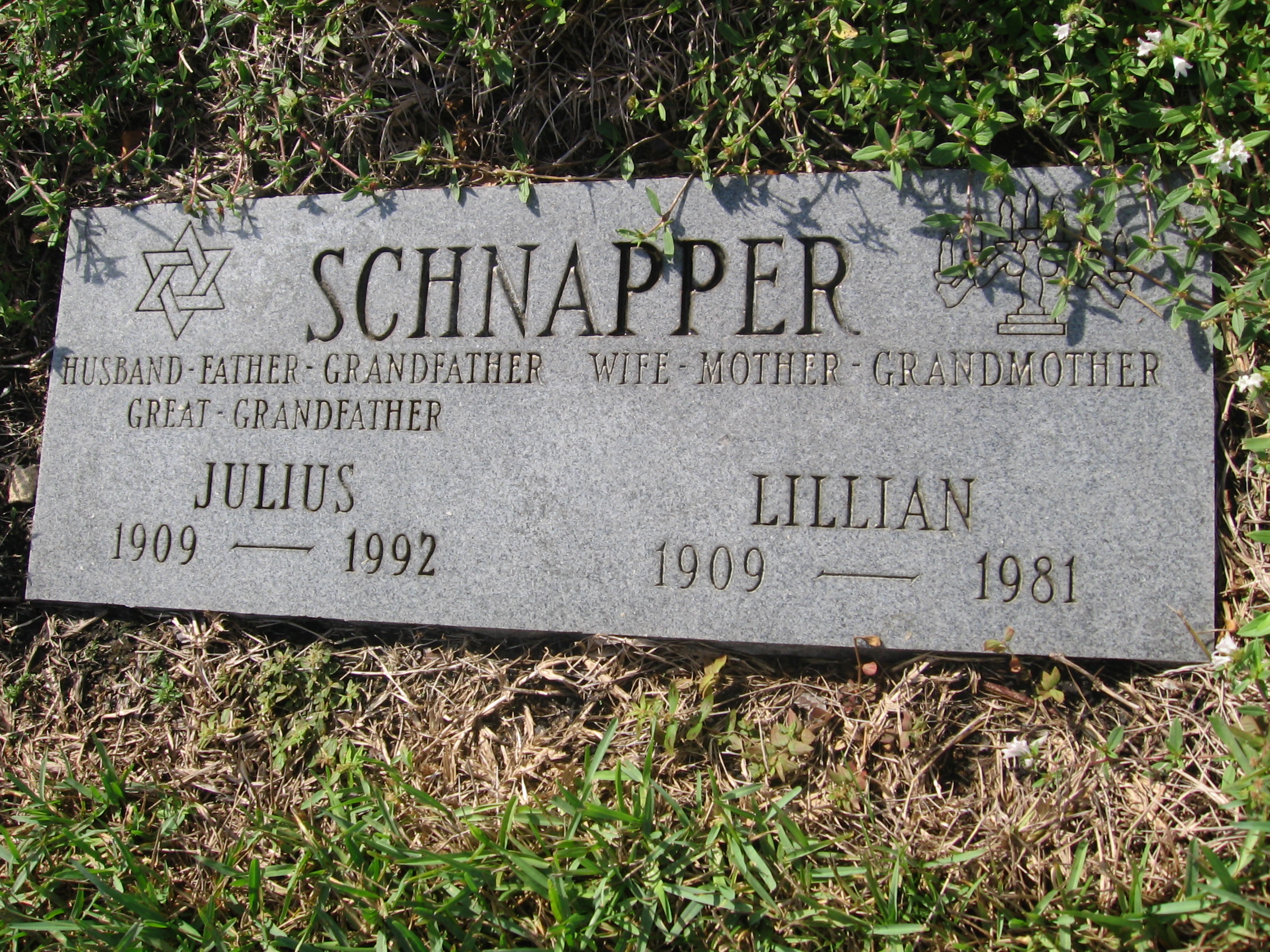 Lillian Schnapper