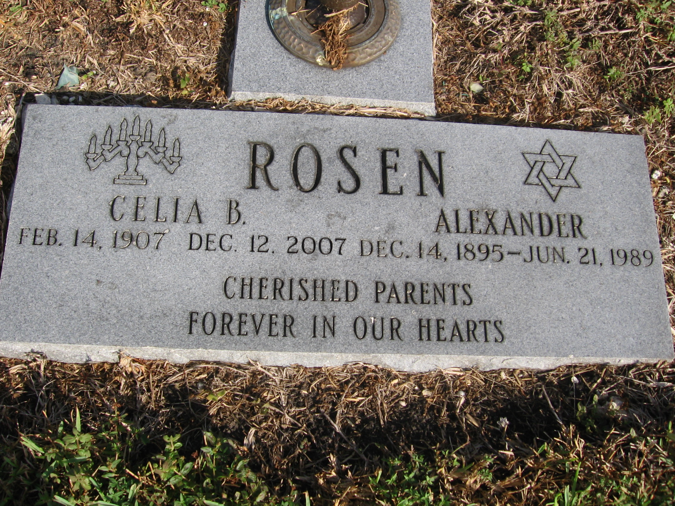 Celia B Rosen