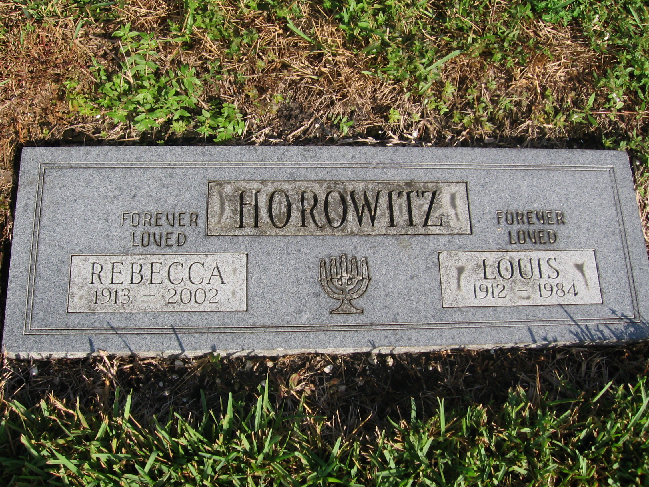 Louis Horowitz