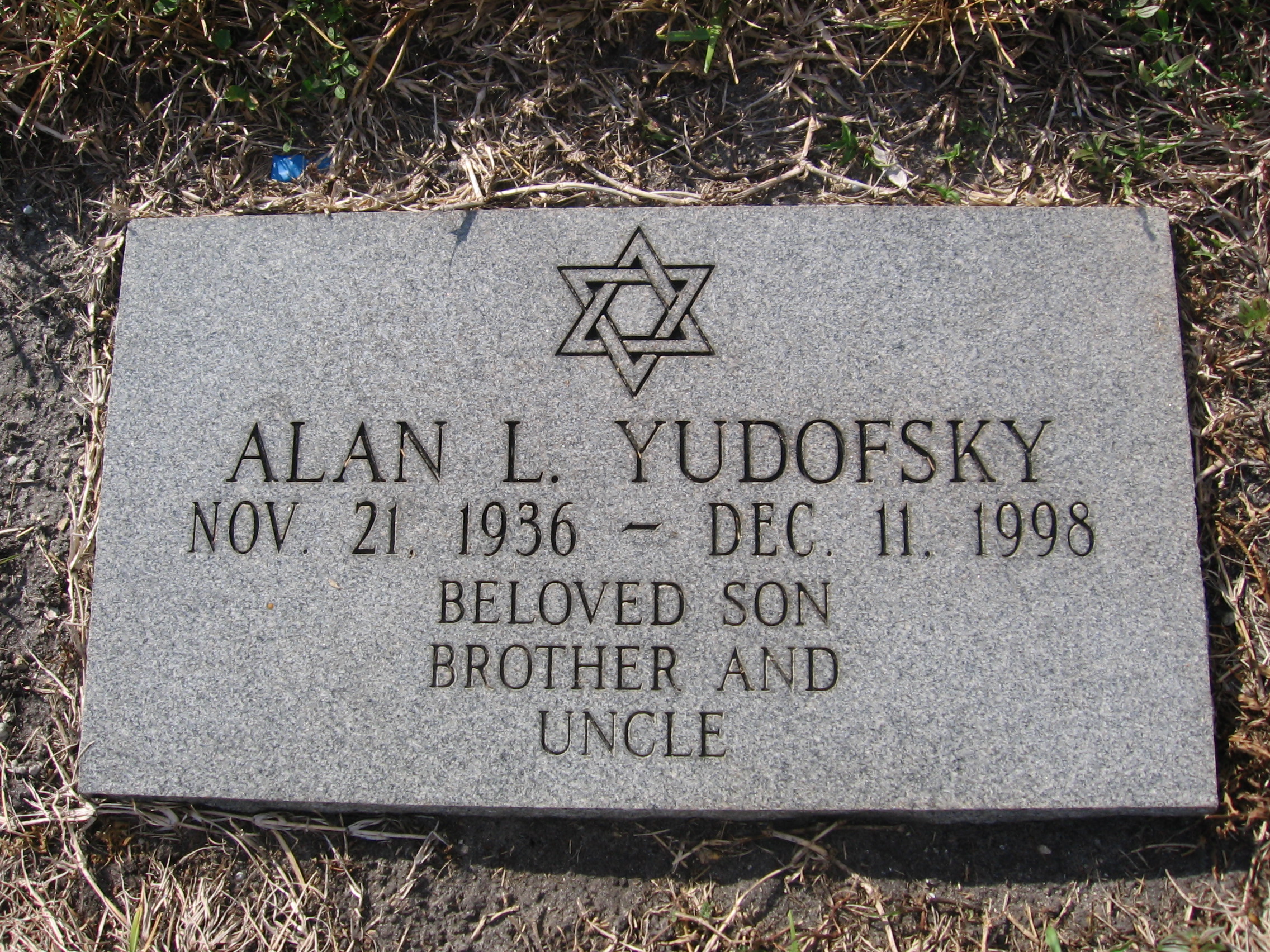 Alan L Yudofsky