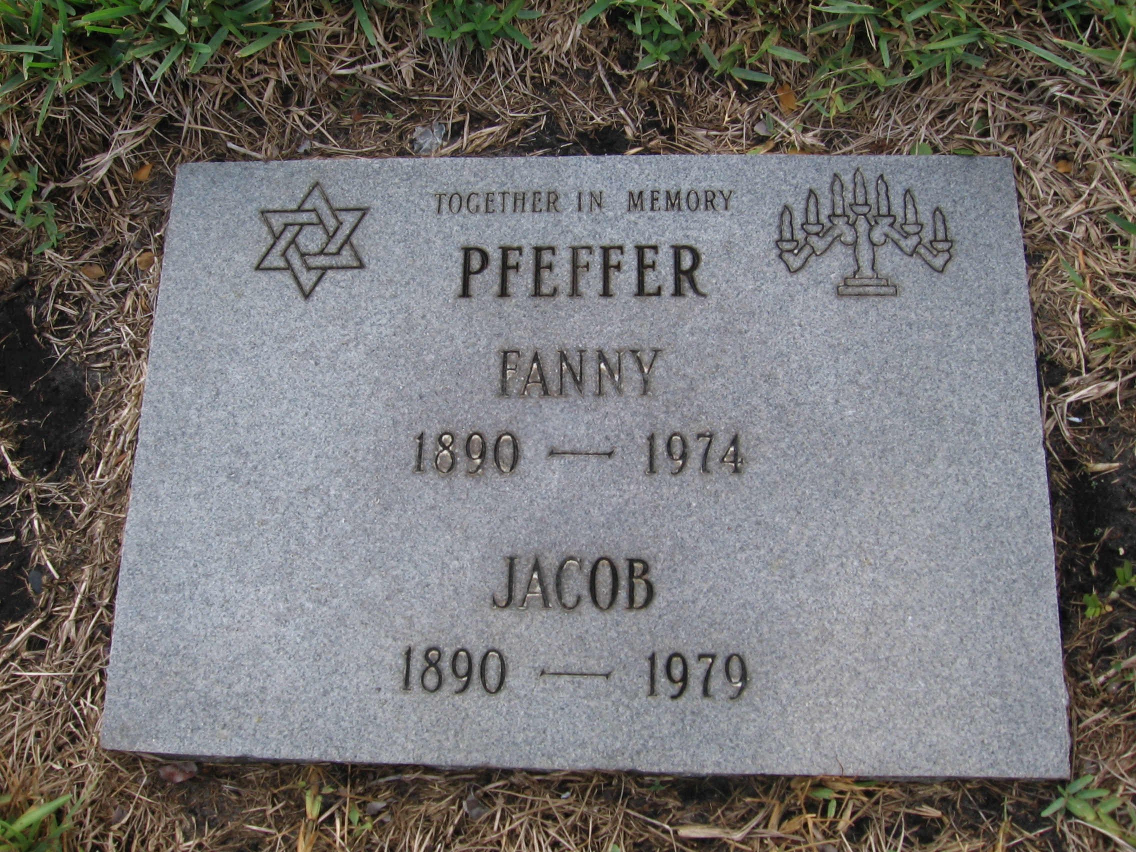 Jacob Pfeffer