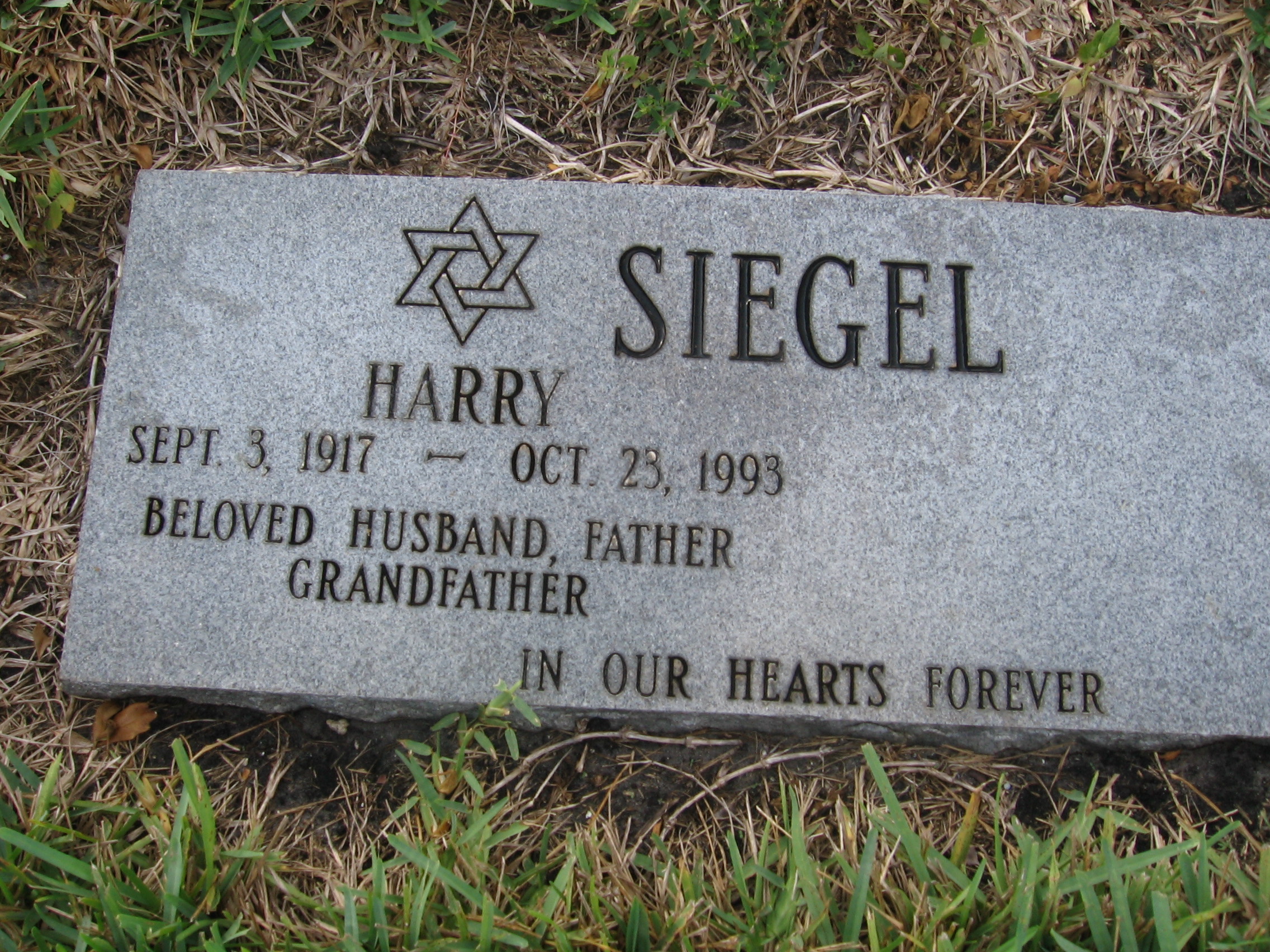 Harry Siegel