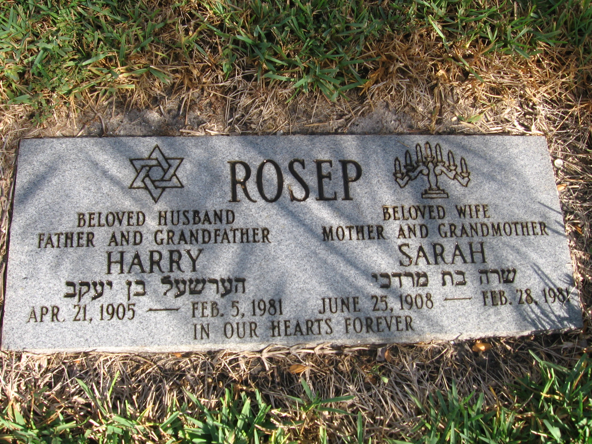 Harry Rosep