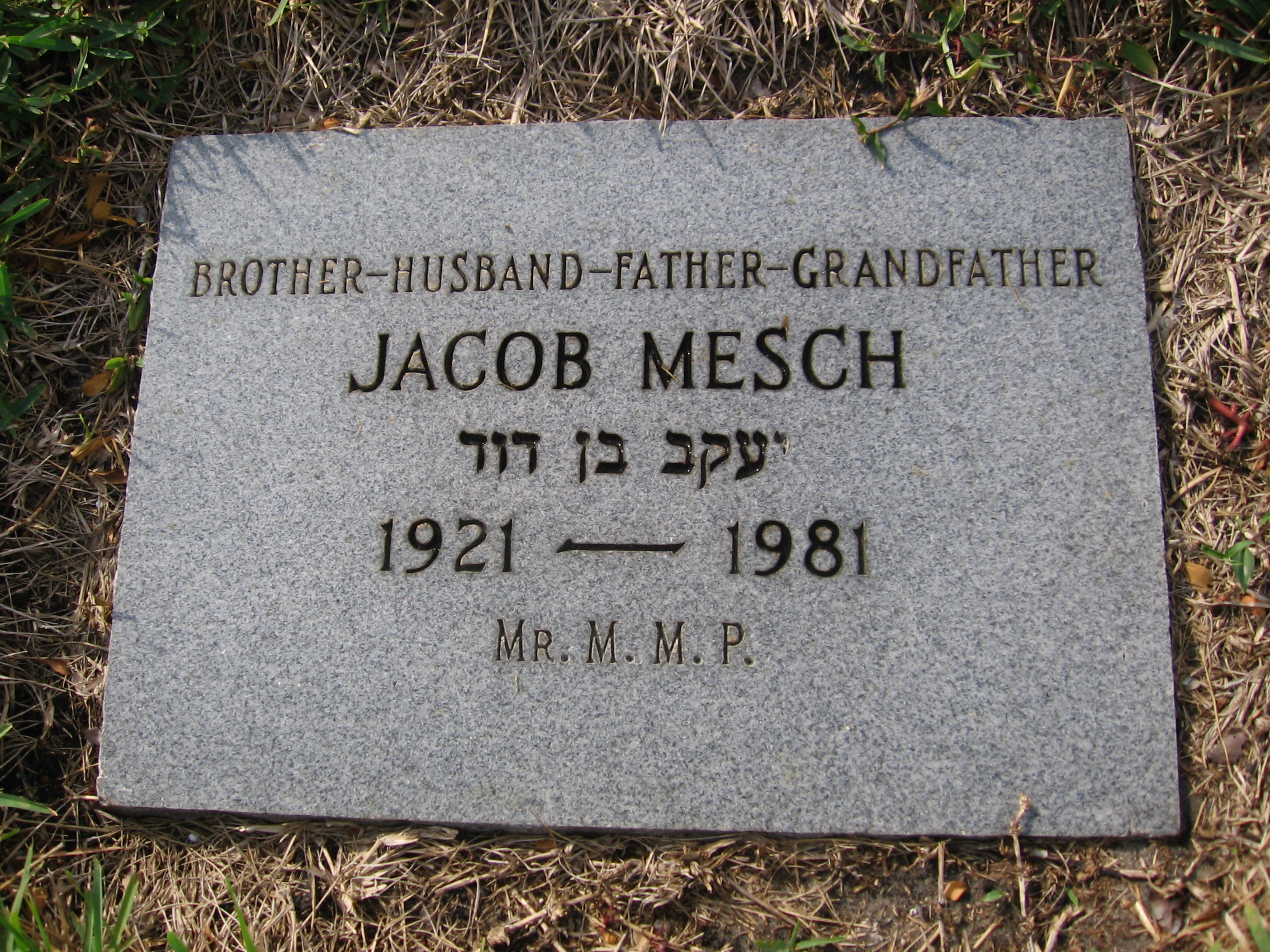 Jacob Mesch