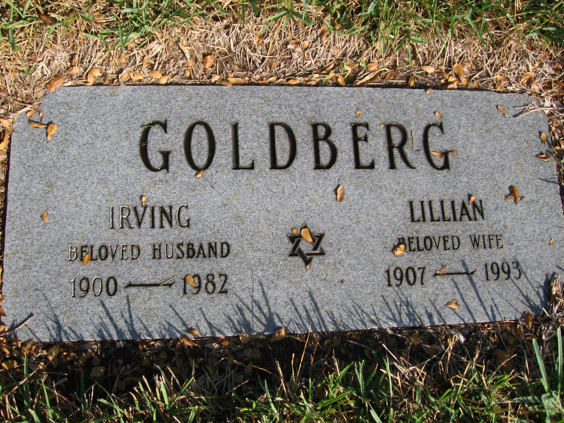 Lillian Goldberg