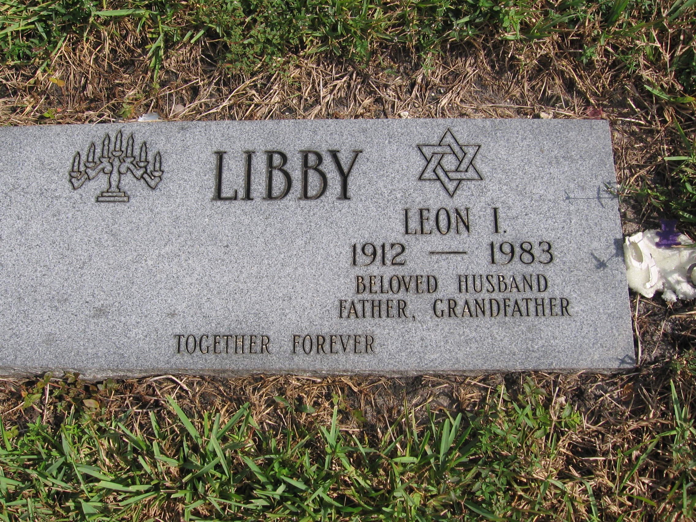 Leon I Libby