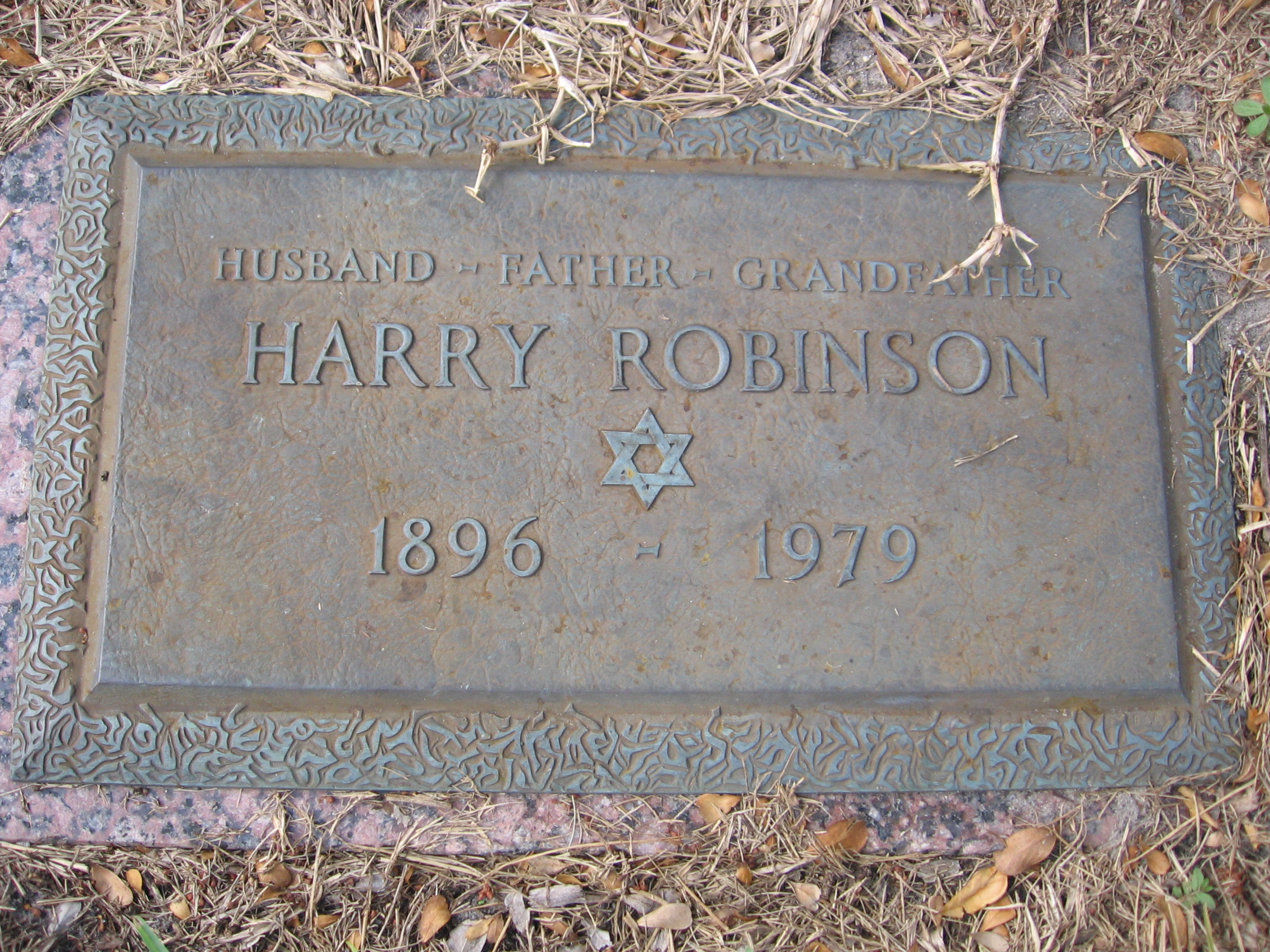Harry Robinson