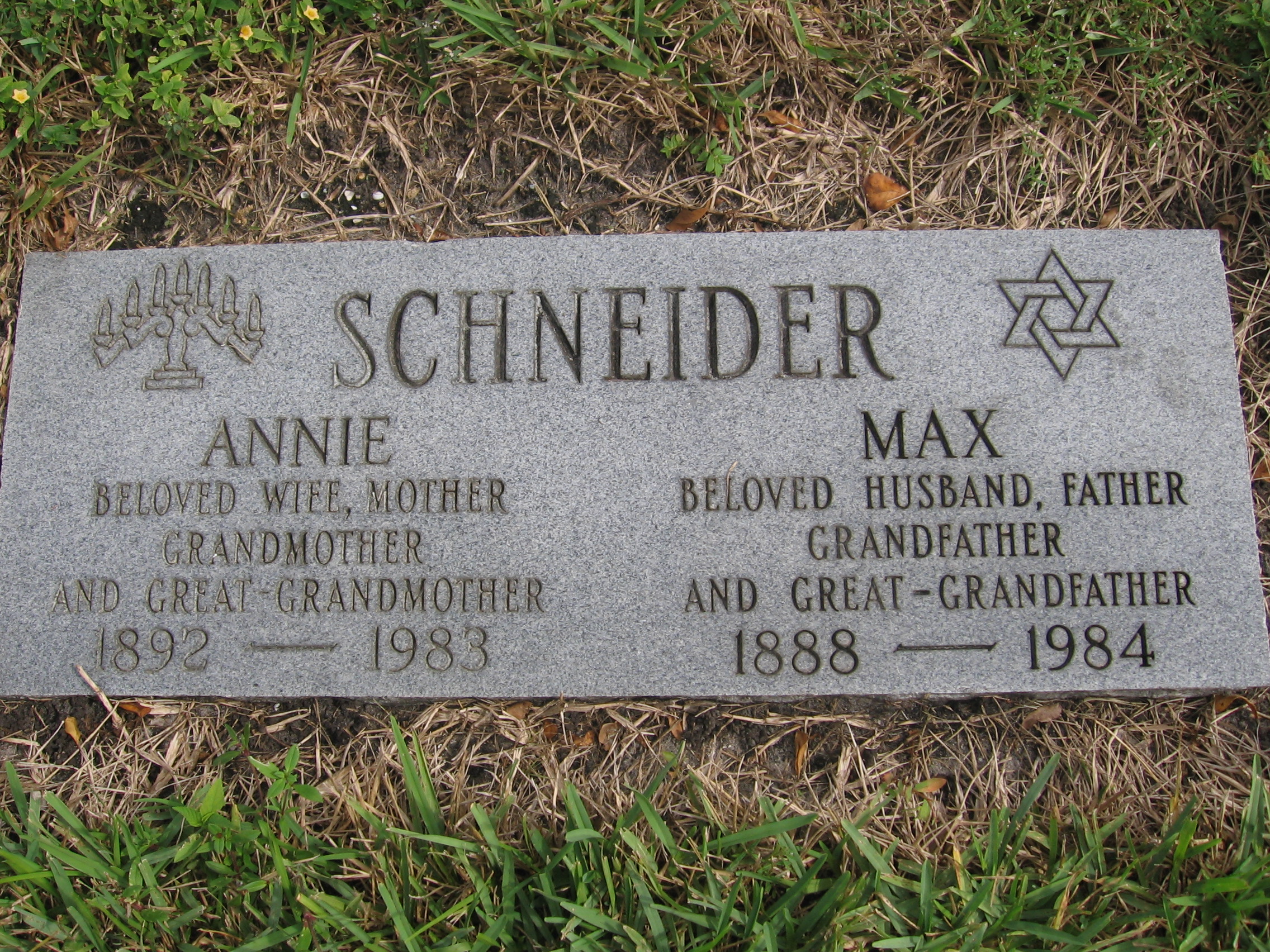 Annie Schneider